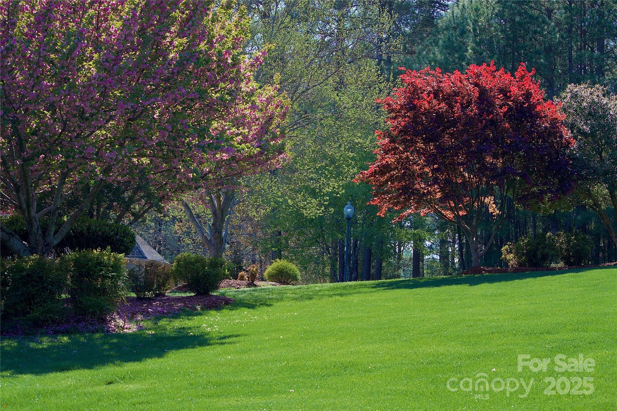 5342 Beacon Ridge Drive Property Photo 9