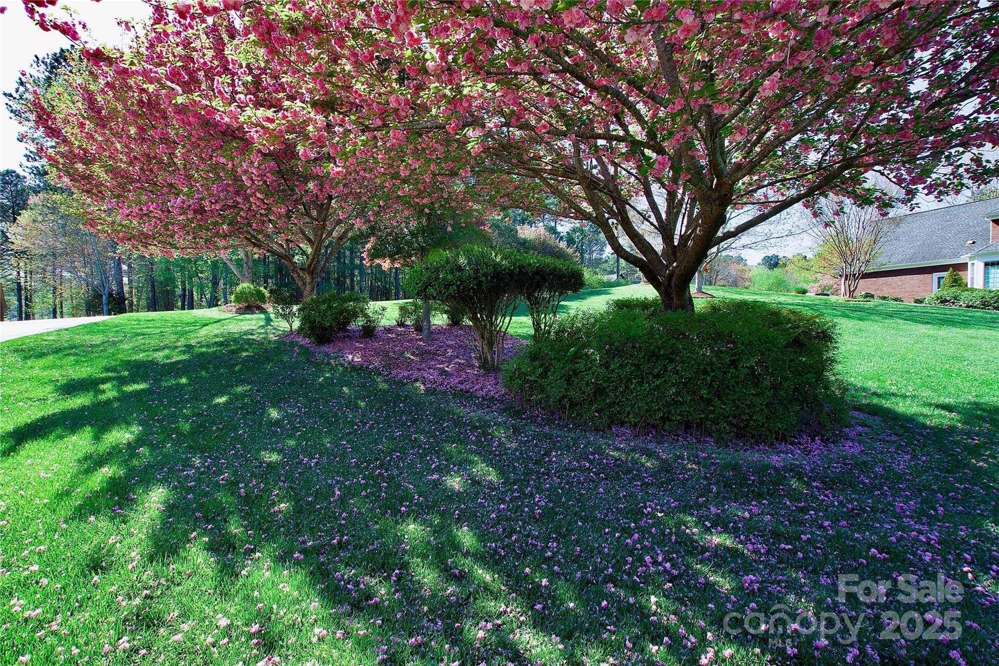 5342 Beacon Ridge Drive Property Photo 13