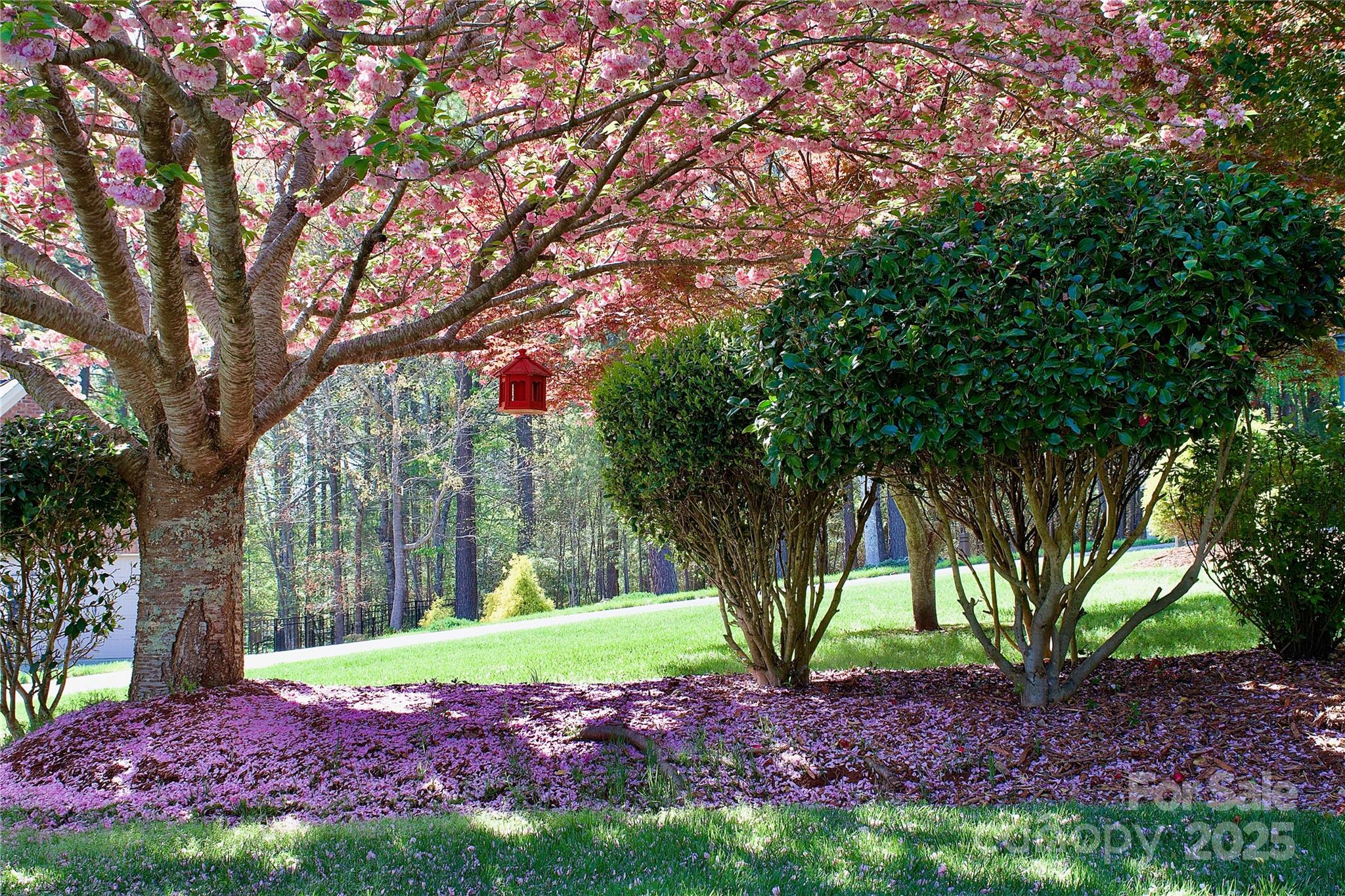 5342 Beacon Ridge Drive Property Photo 14