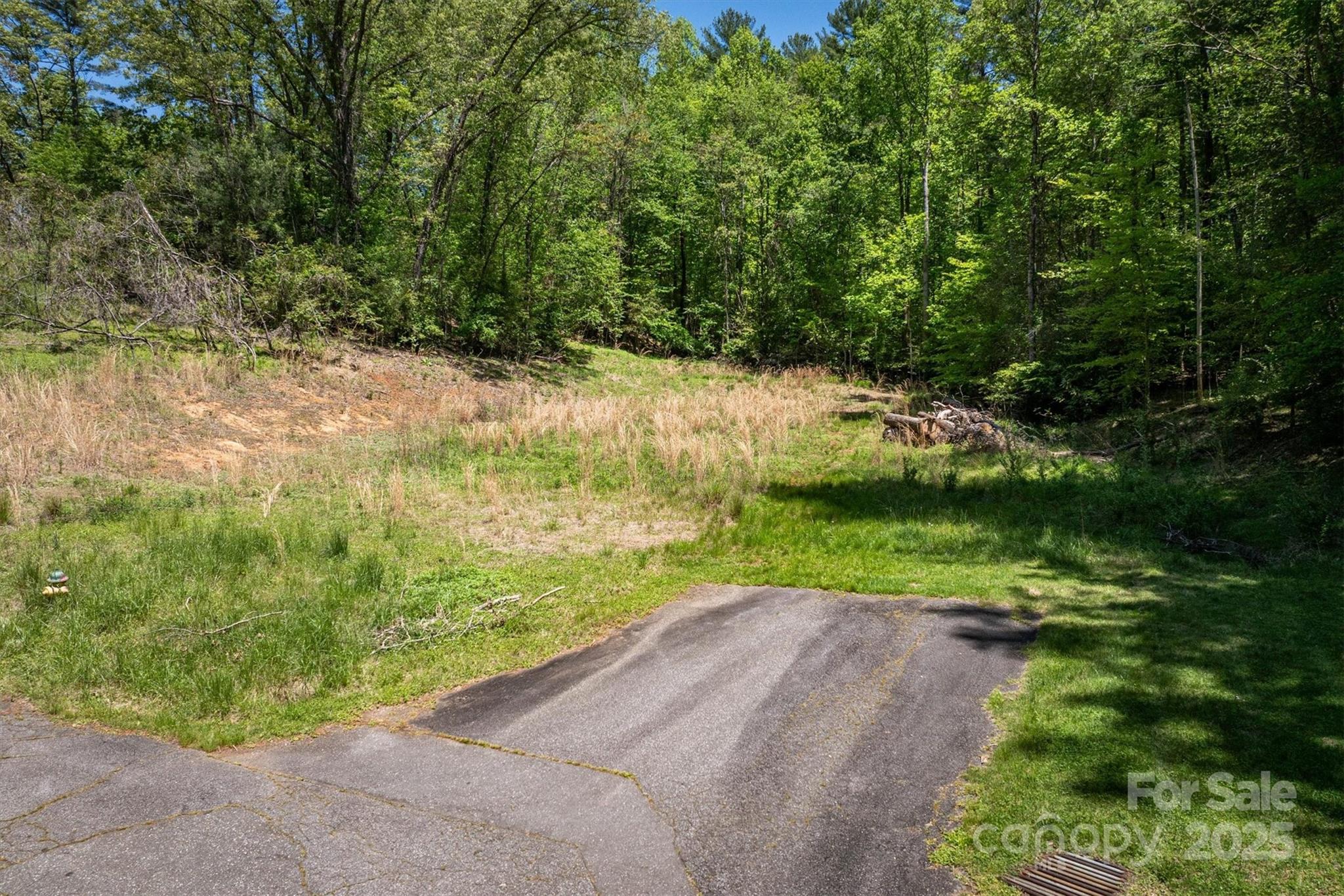 1026 Shelby Lane Property Photo 8