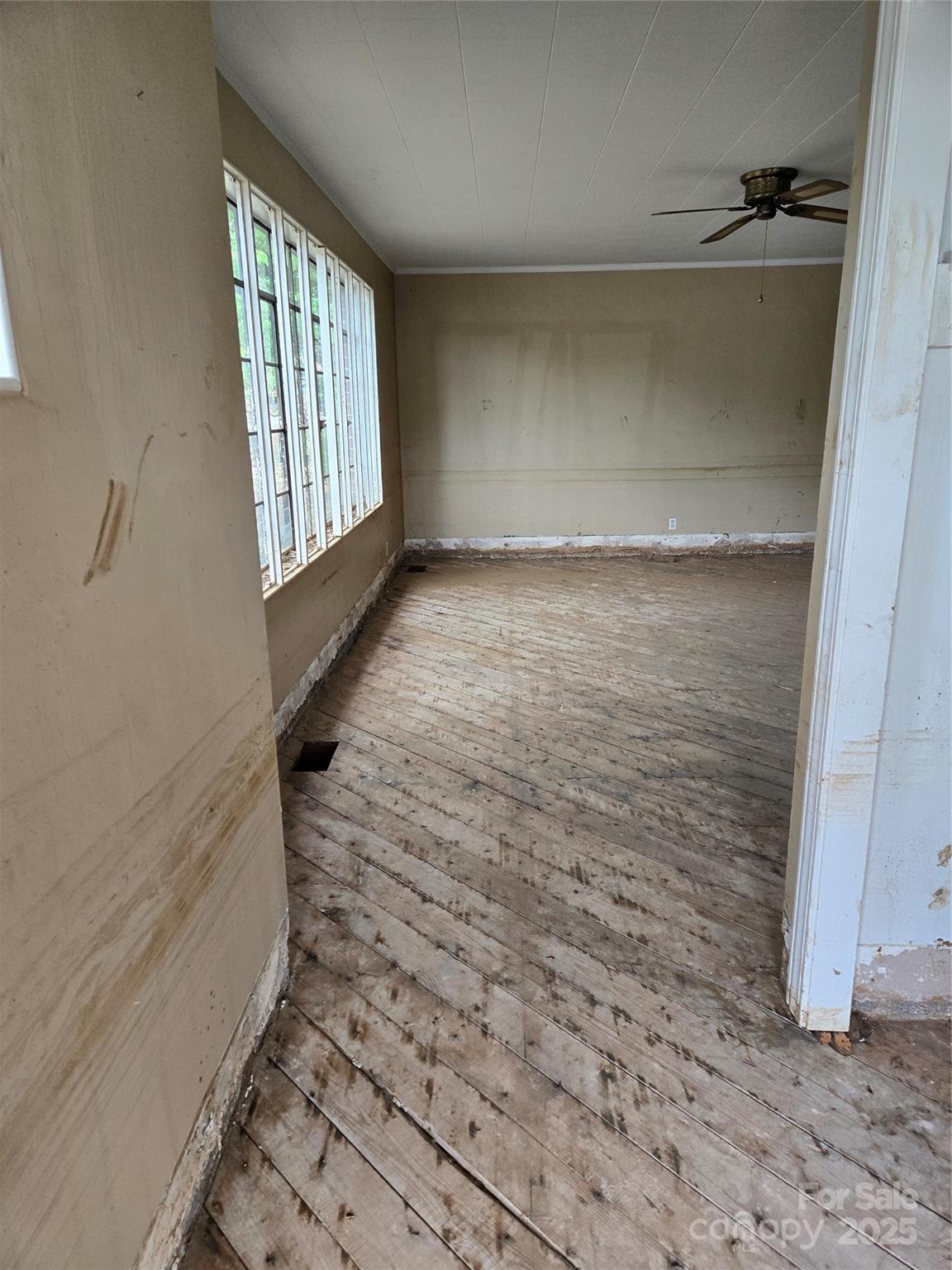 203 Catawba Avenue Property Photo 6