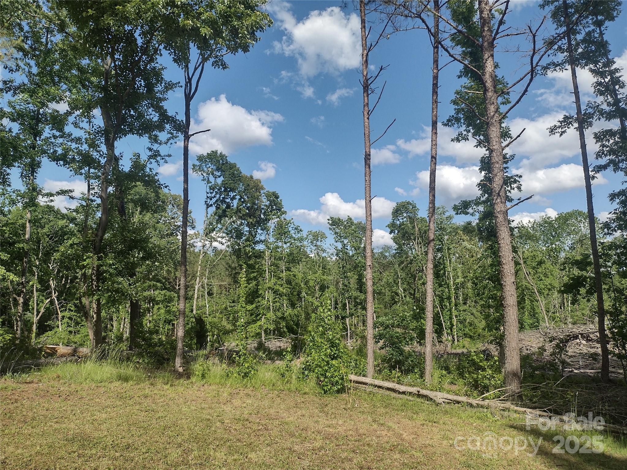 1816 Trinity Church Road Property Photo 5