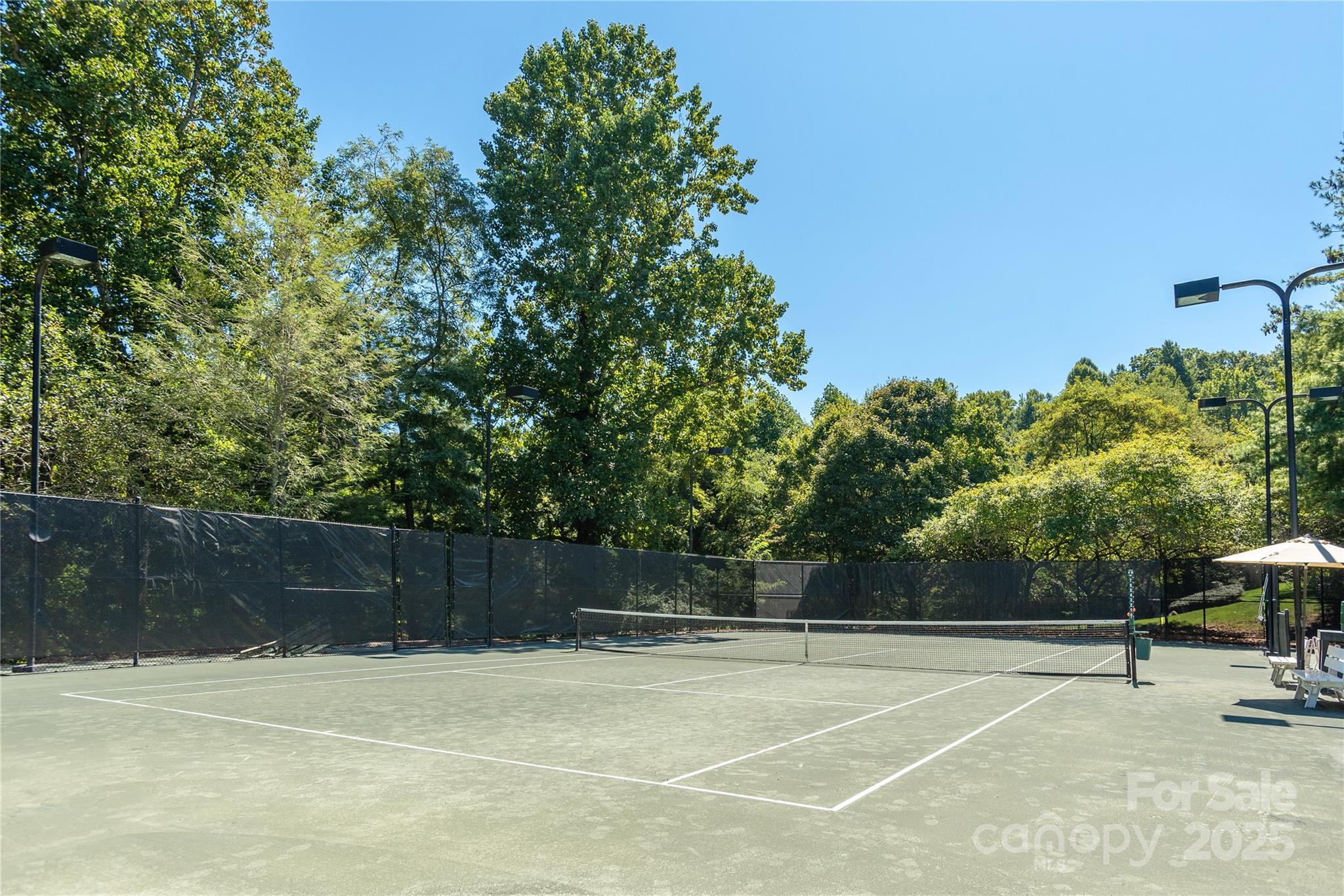 158 Chattooga Run Property Photo 12