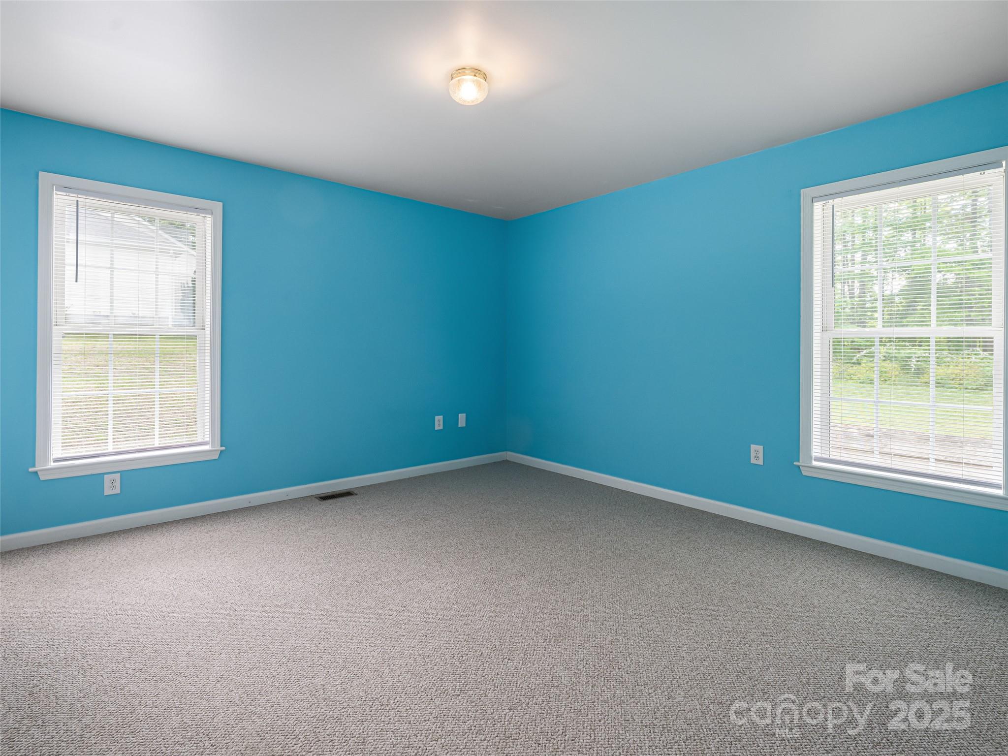 88 Star Point Drive Property Photo 26