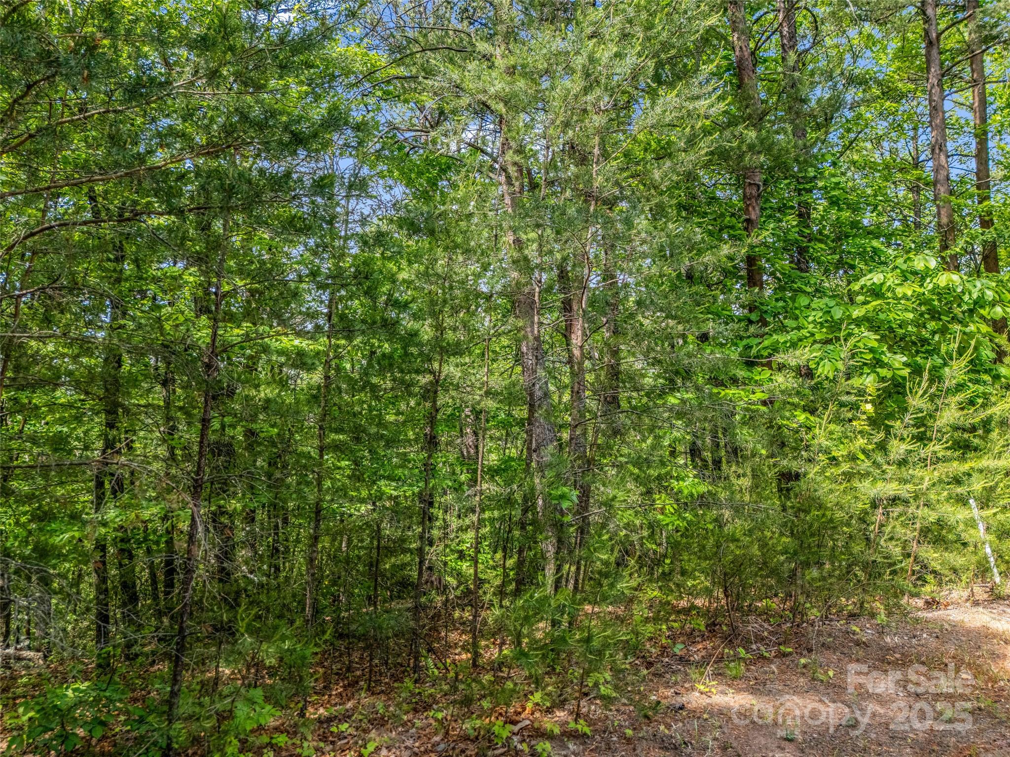 4 Woodward Drive Property Photo 3