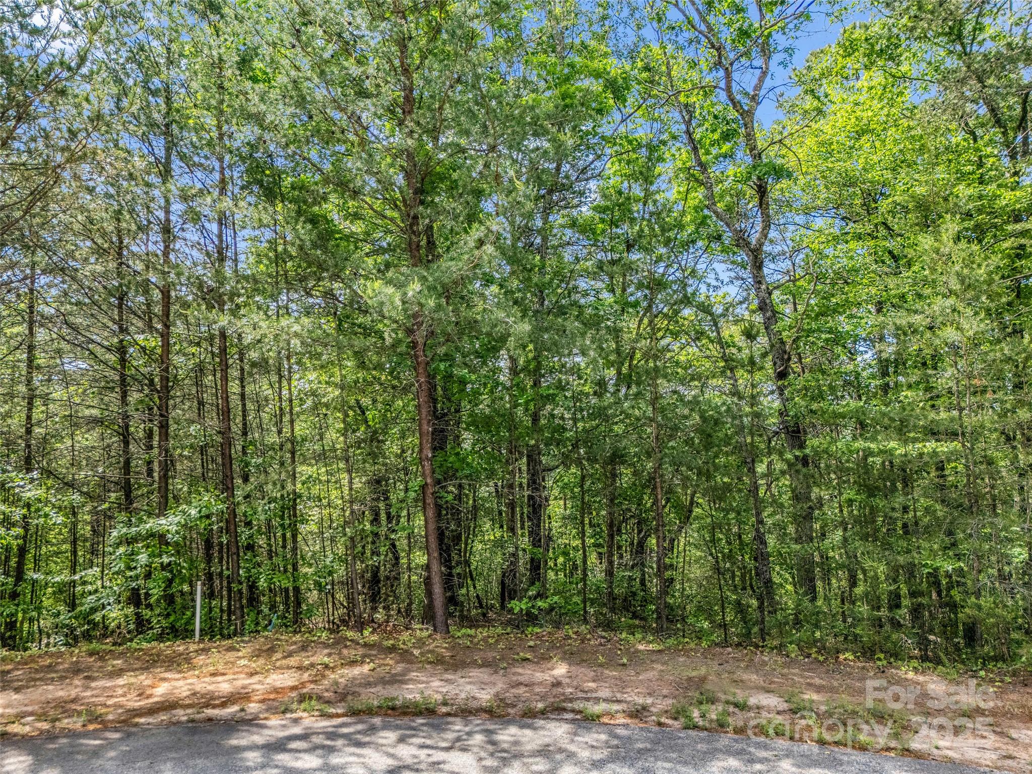 4 Woodward Drive Property Photo 33