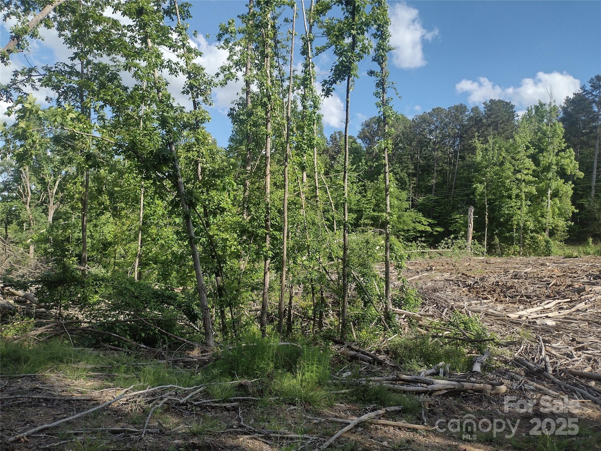 1812, 1806 Trinity Church Road Property Photo 4