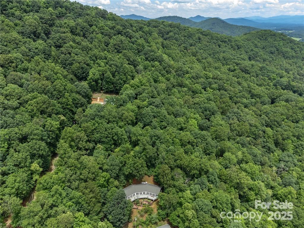 56 Great Horned Owl Road Property Photo 45