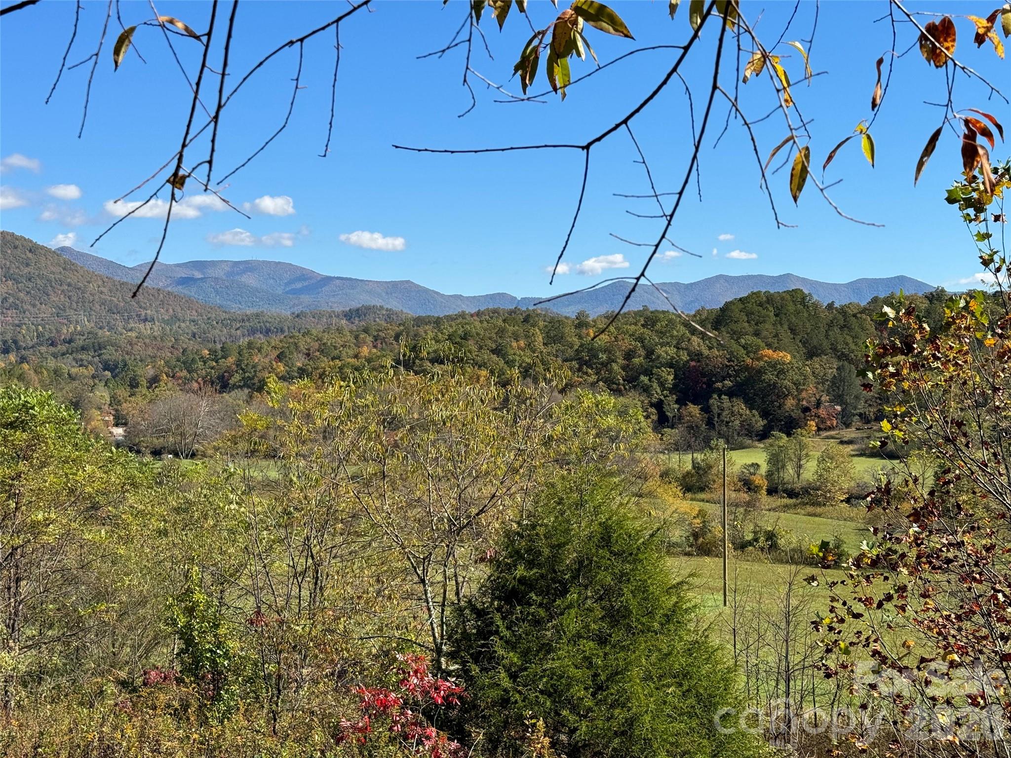 4136 Rose Creek Road Property Photo 8