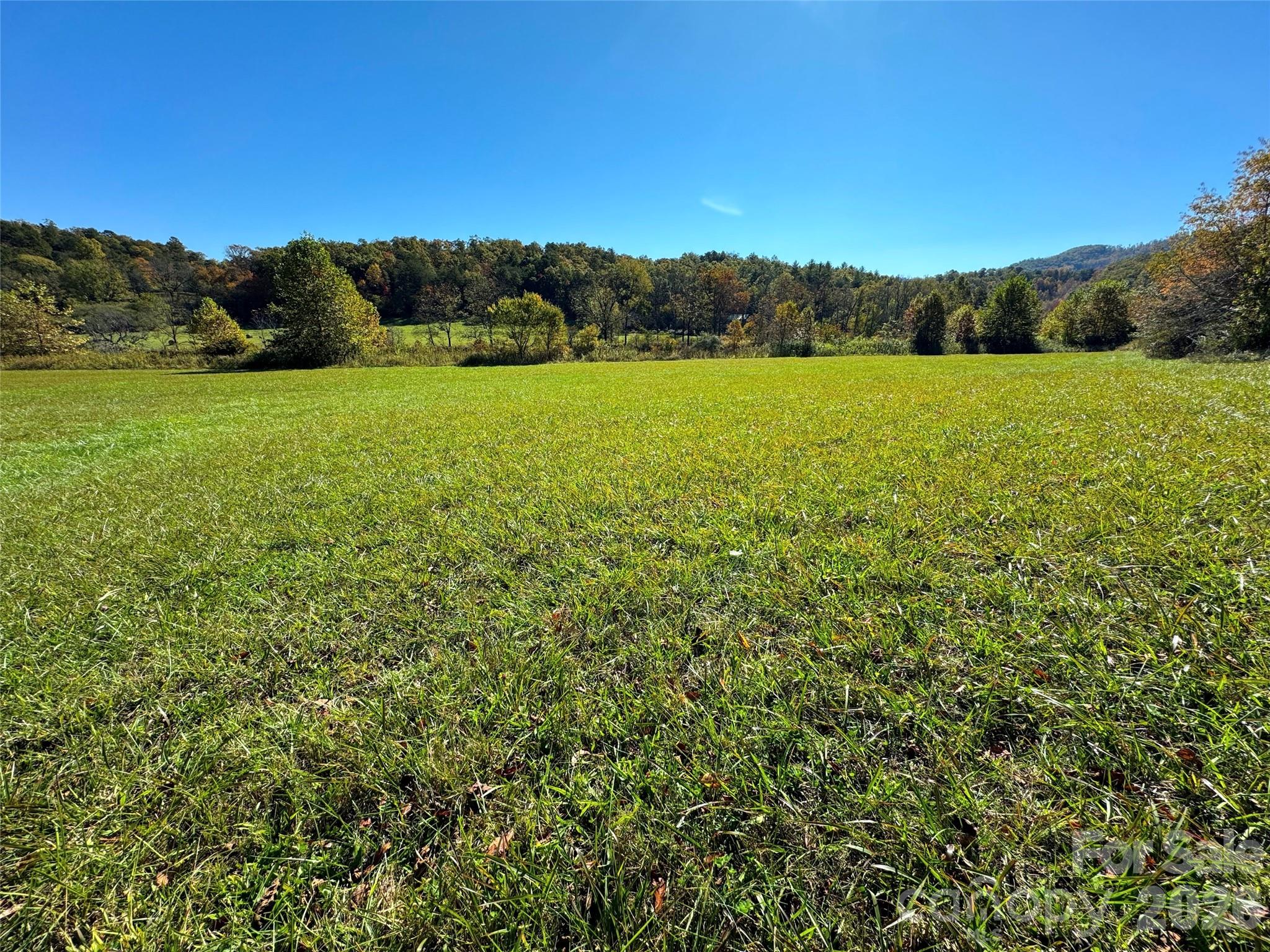 4136 Rose Creek Road Property Photo 10