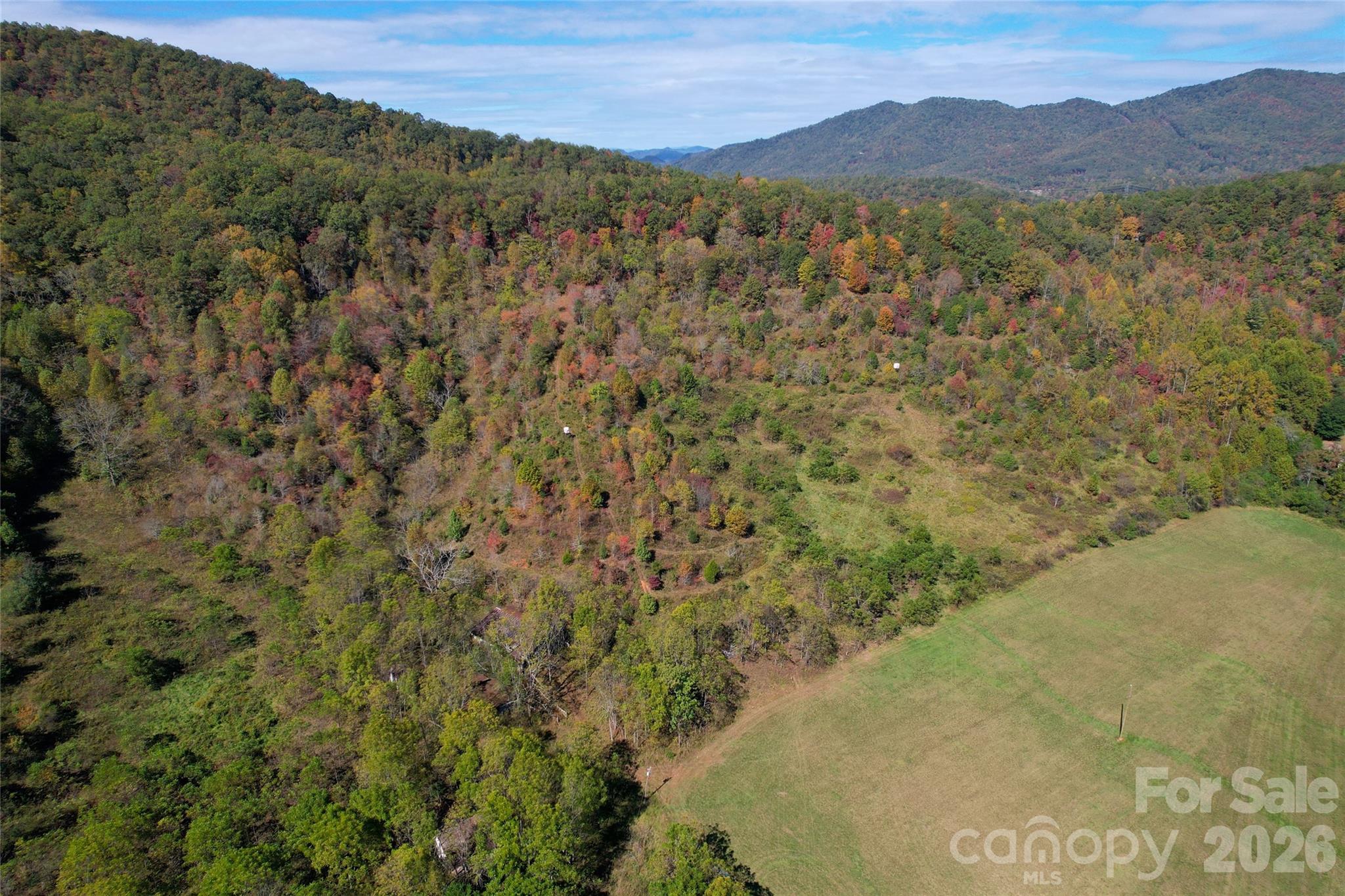 4136 Rose Creek Road Property Photo 19