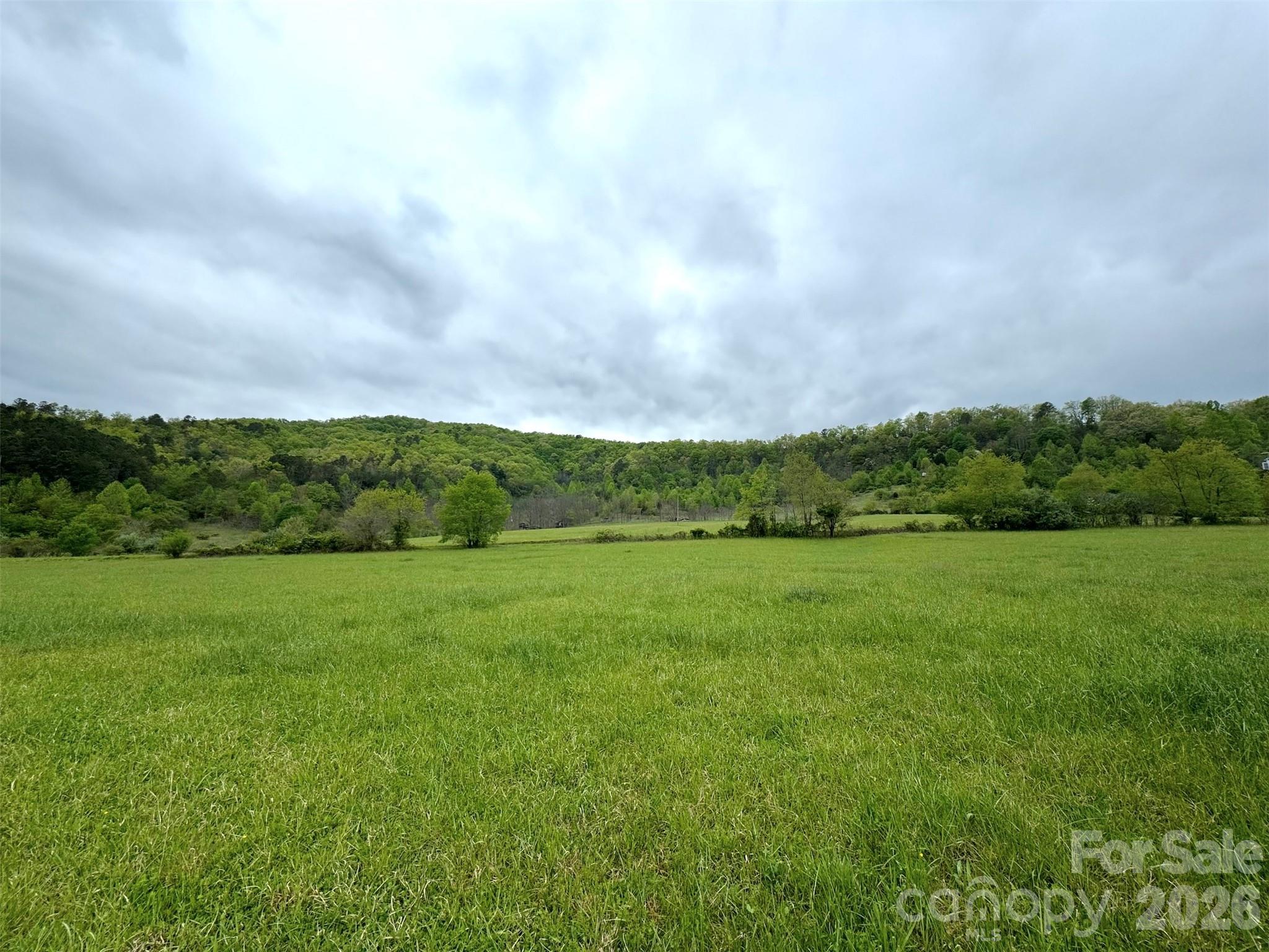 4136 Rose Creek Road Property Photo 20