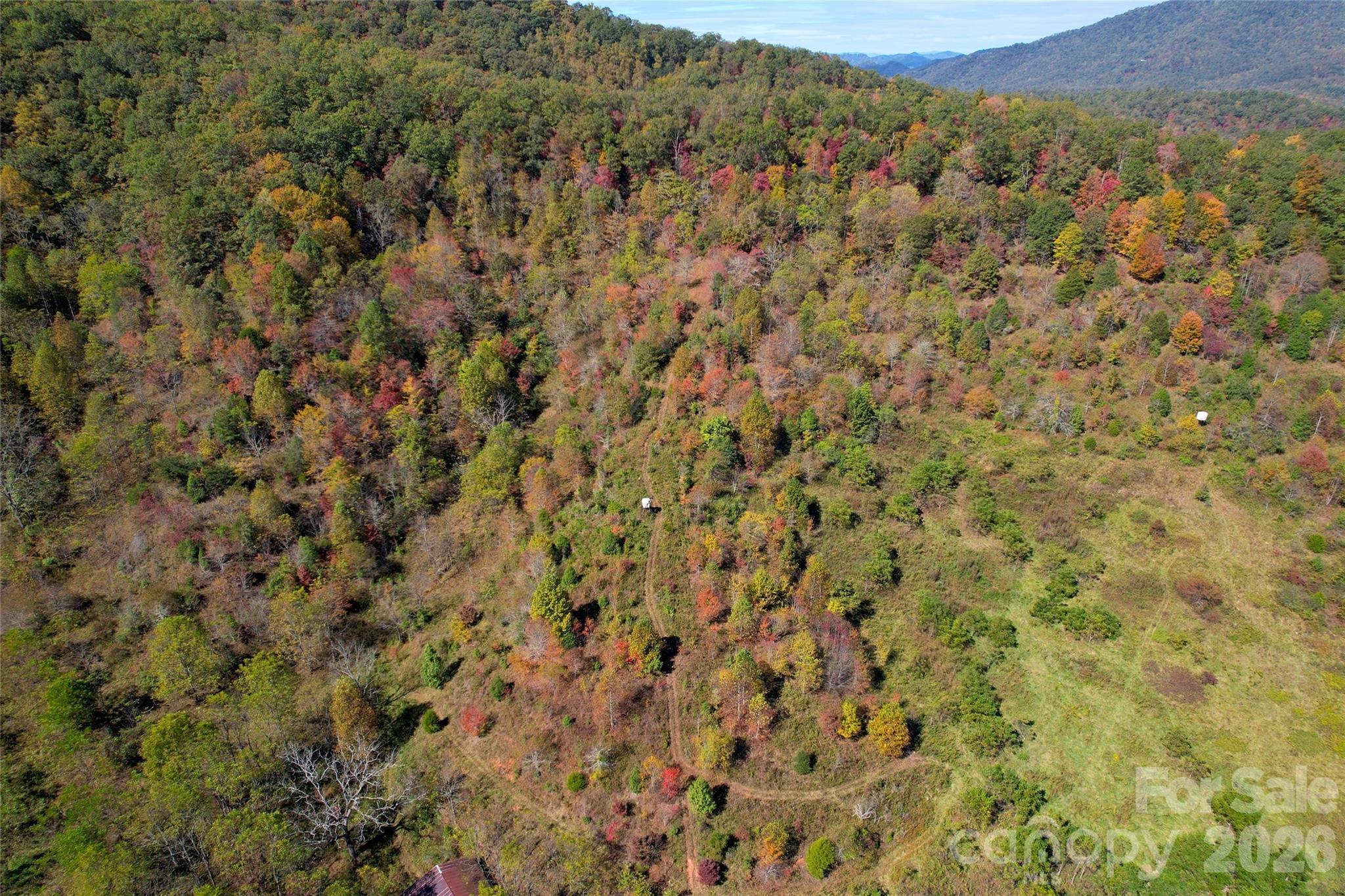 4136 Rose Creek Road Property Photo 21