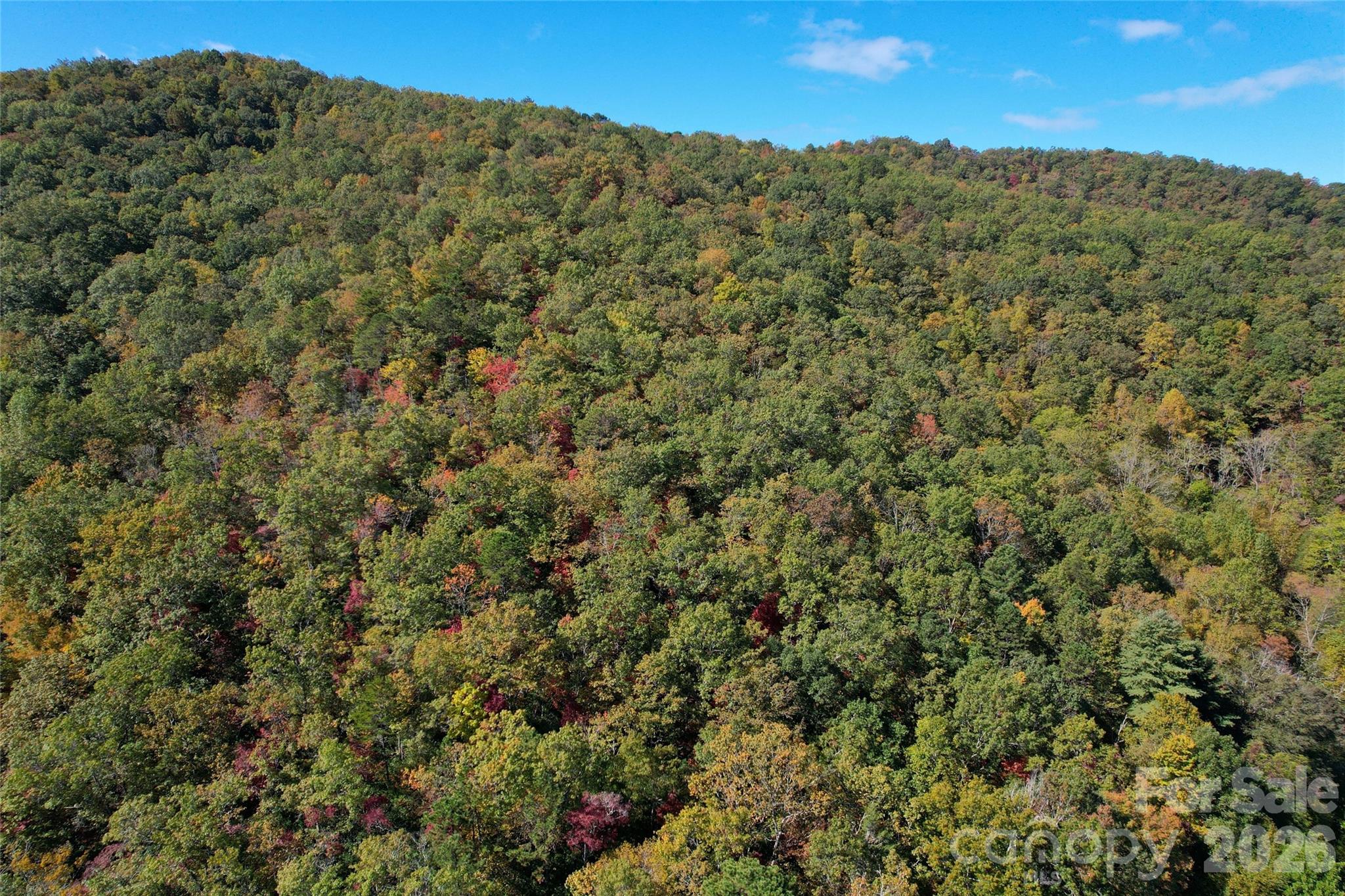 4136 Rose Creek Road Property Photo 22