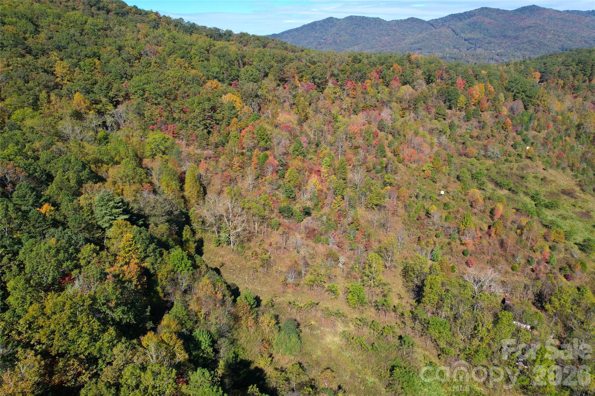 4136 Rose Creek Road Property Photo 26