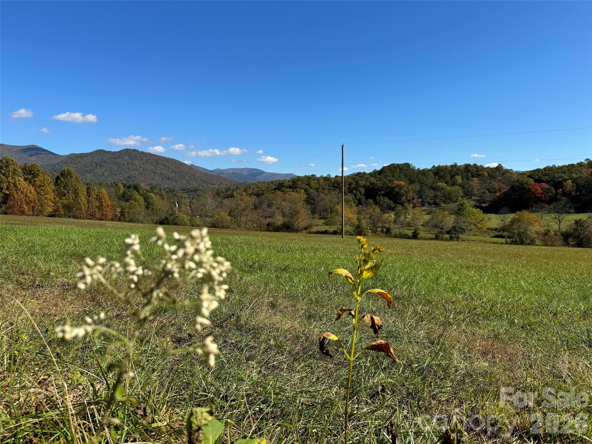 4136 Rose Creek Road Property Photo 32