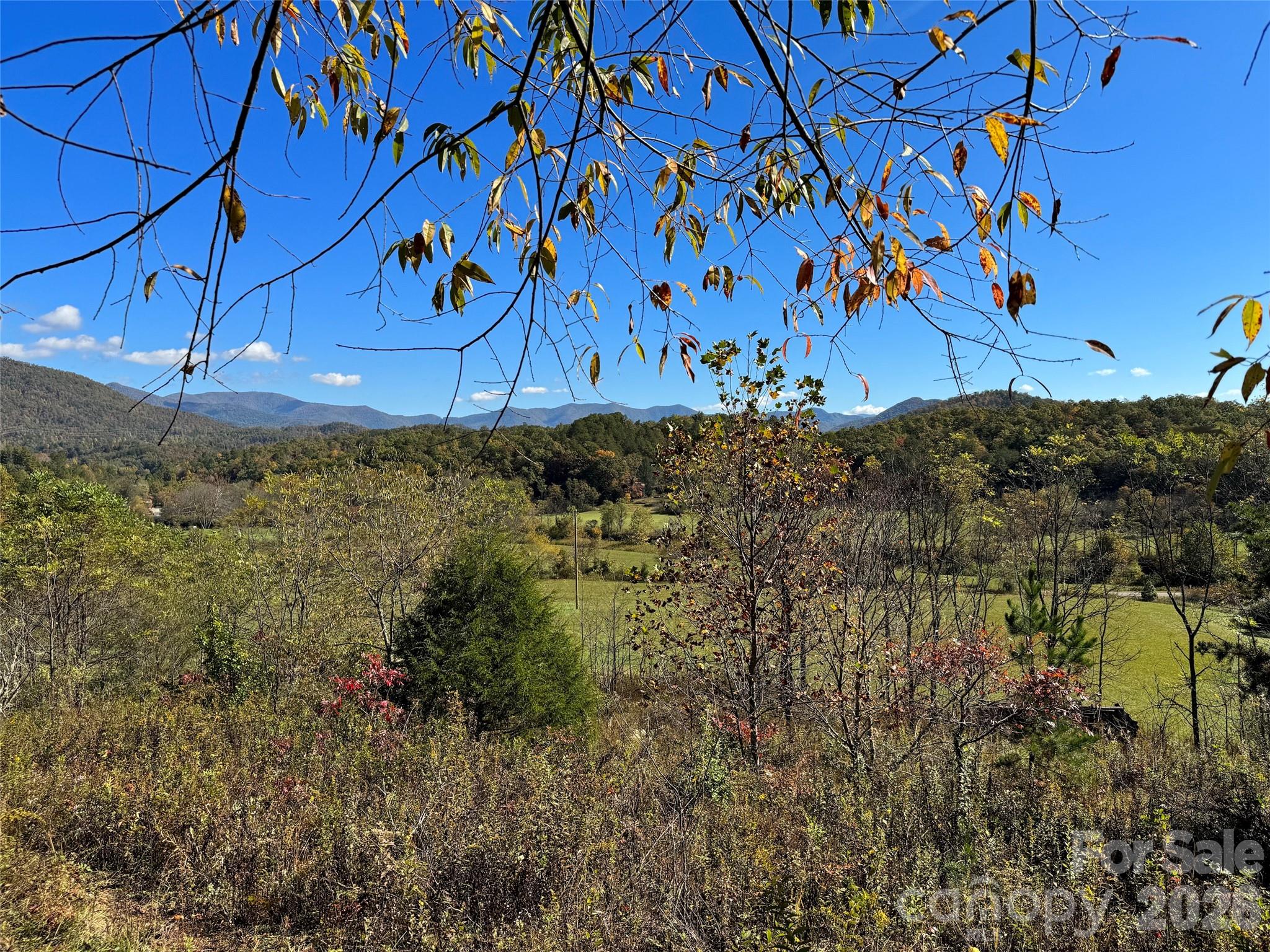 4136 Rose Creek Road Property Photo 33