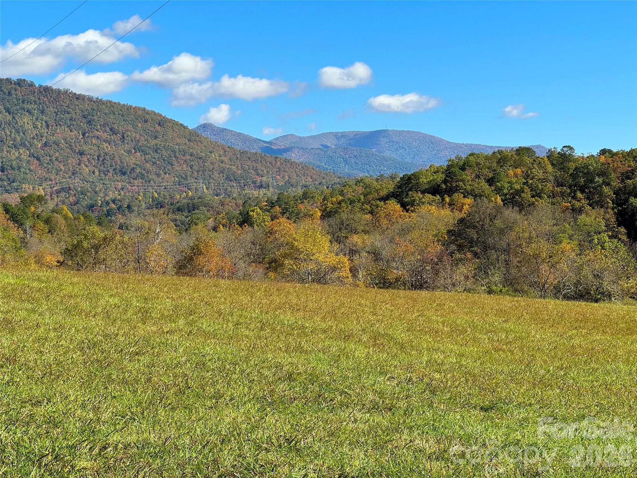 4136 Rose Creek Road Property Photo 35