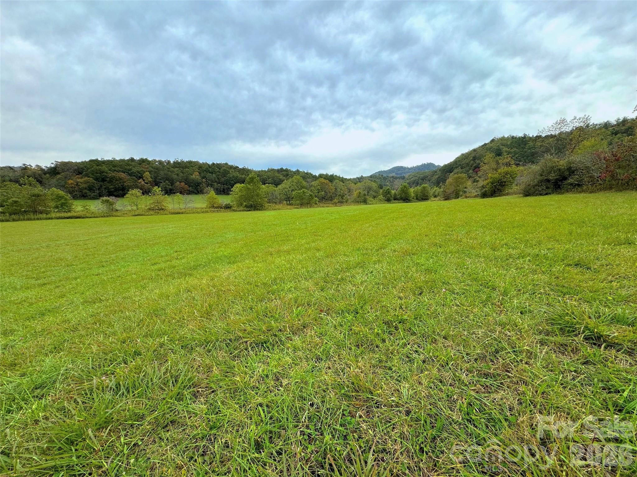 4136 Rose Creek Road Property Photo 37