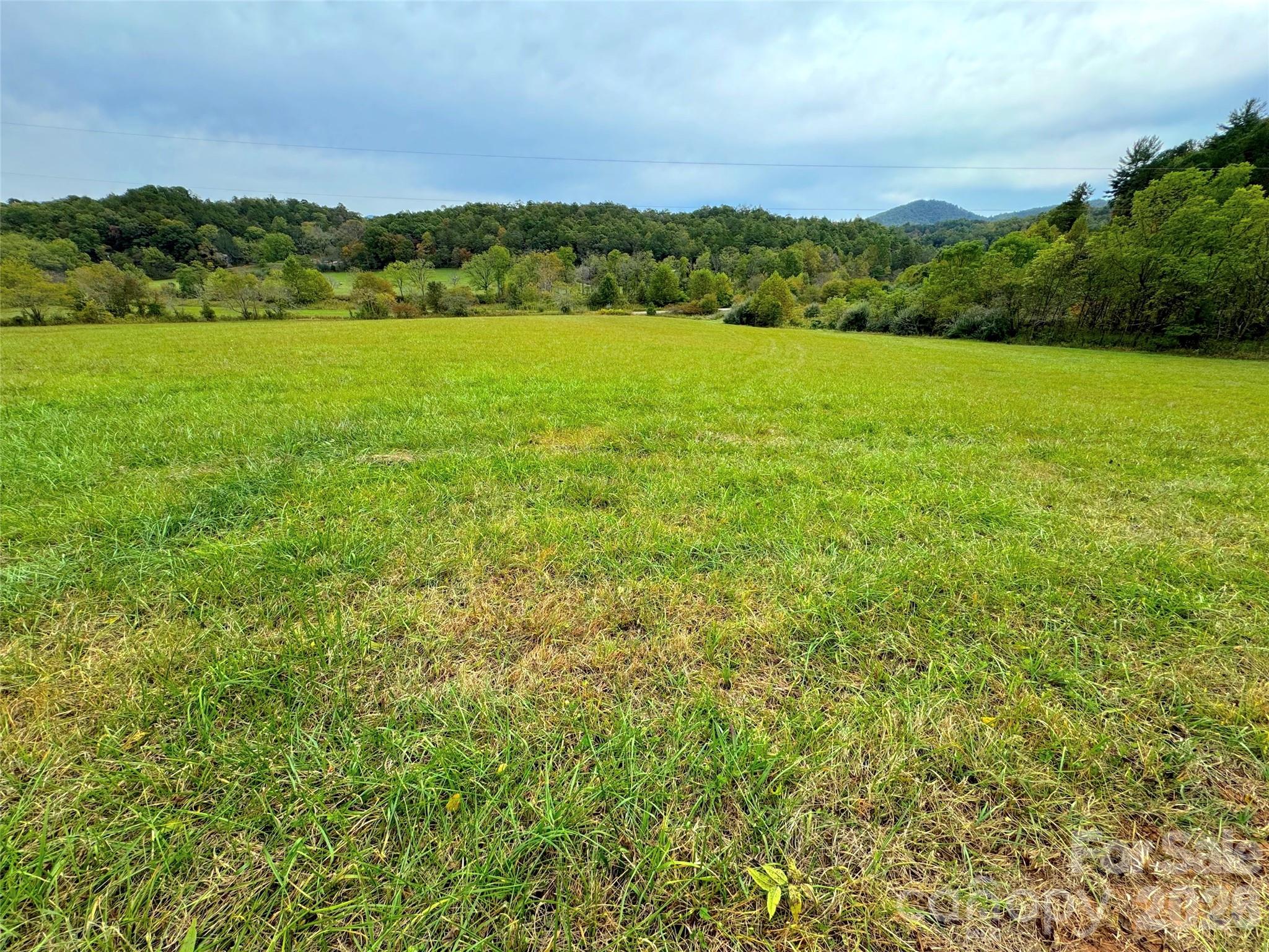 4136 Rose Creek Road Property Photo 38