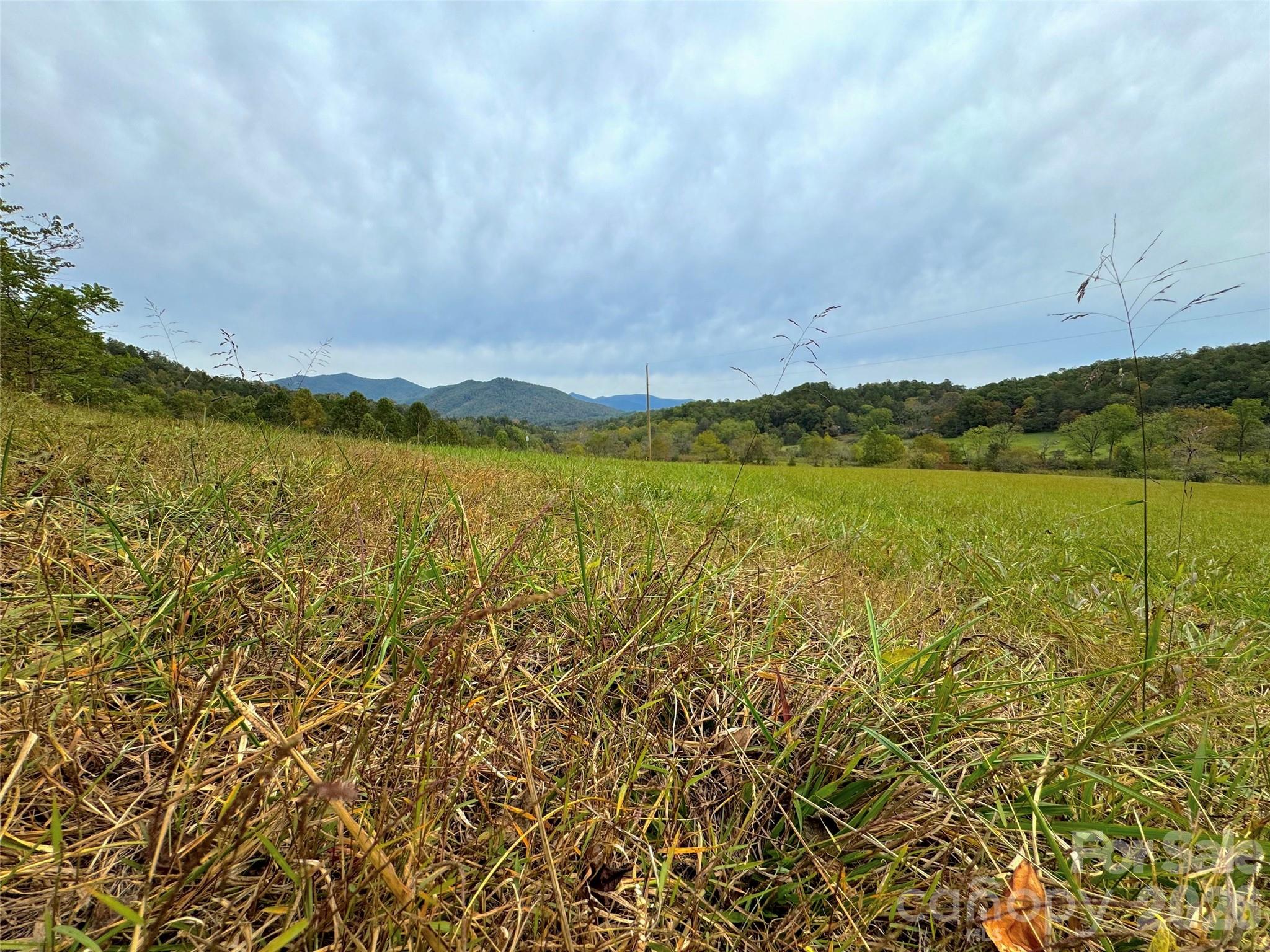 4136 Rose Creek Road Property Photo 39