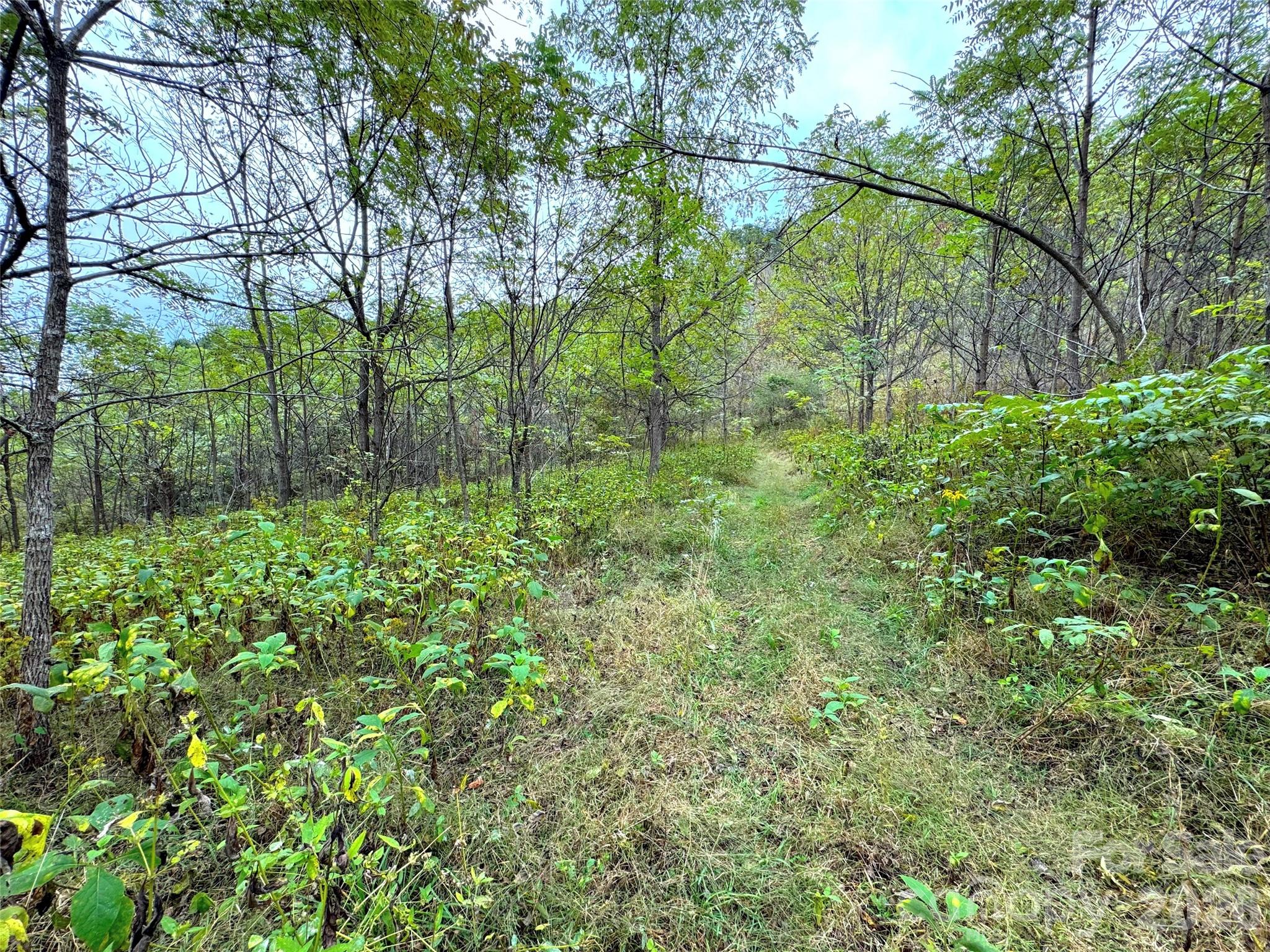 4136 Rose Creek Road Property Photo 40