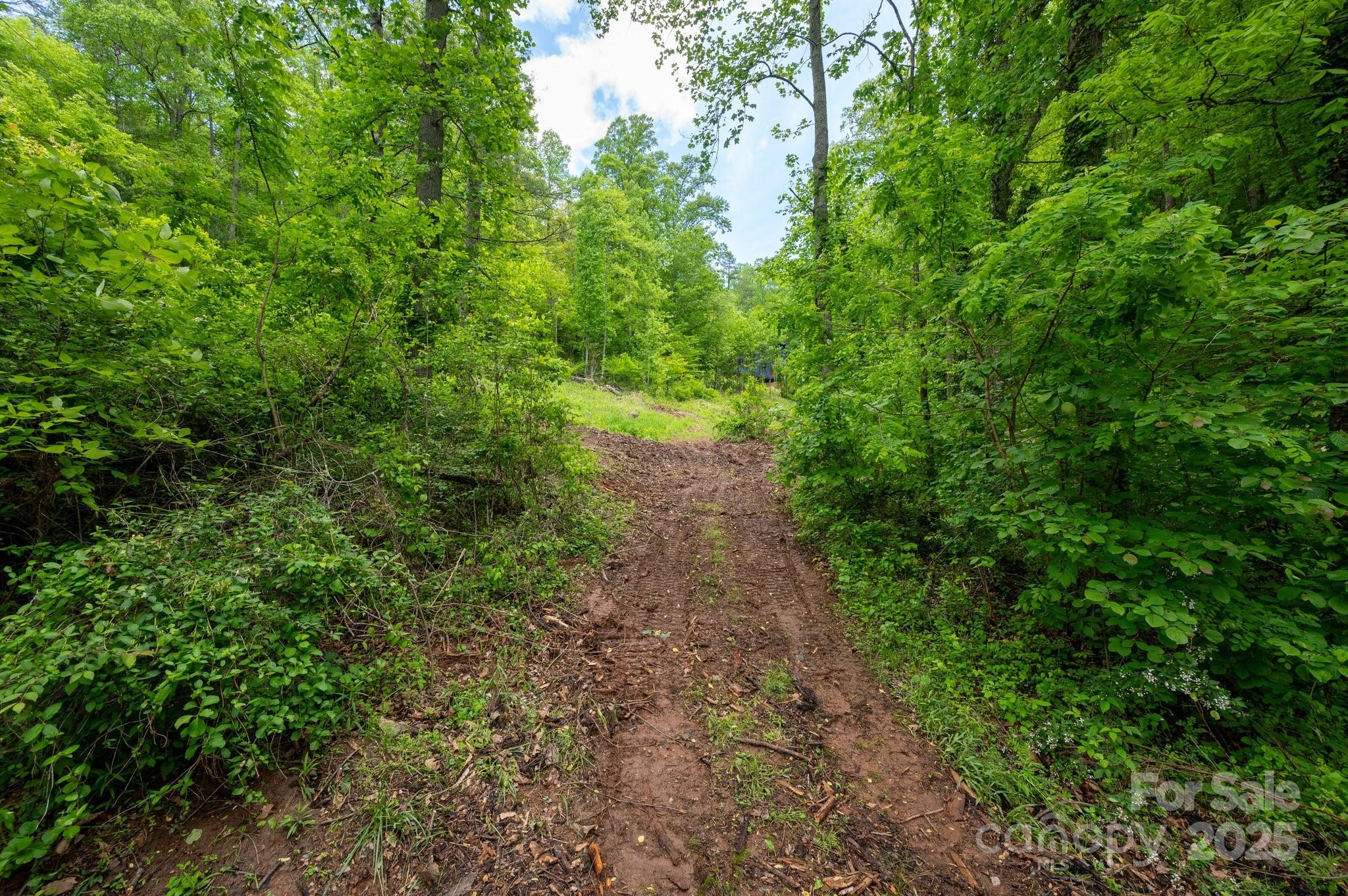 83 Mount Airy Road Property Photo 28