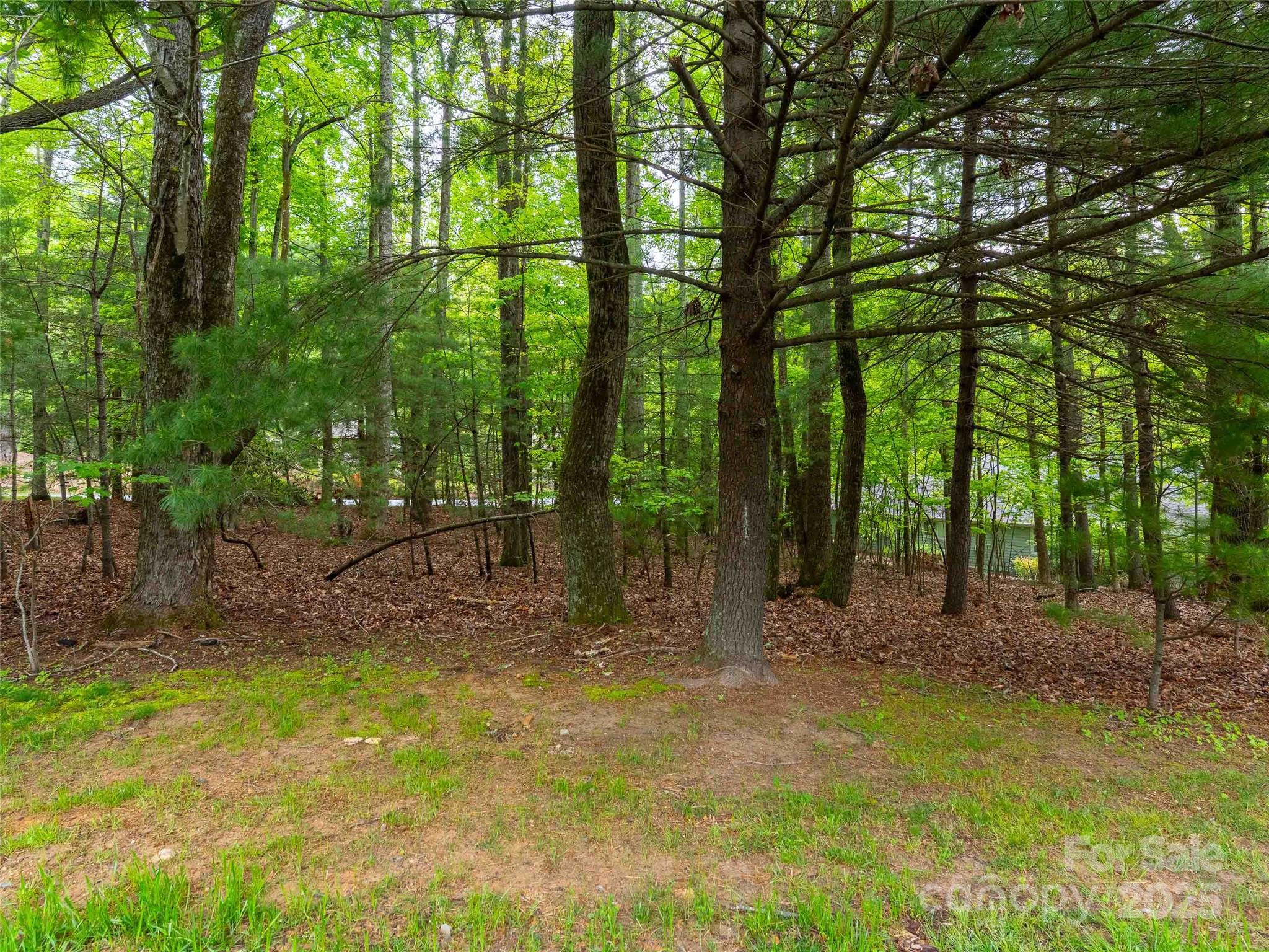 102 Little Cherokee Ridge 83 Property Photo 7