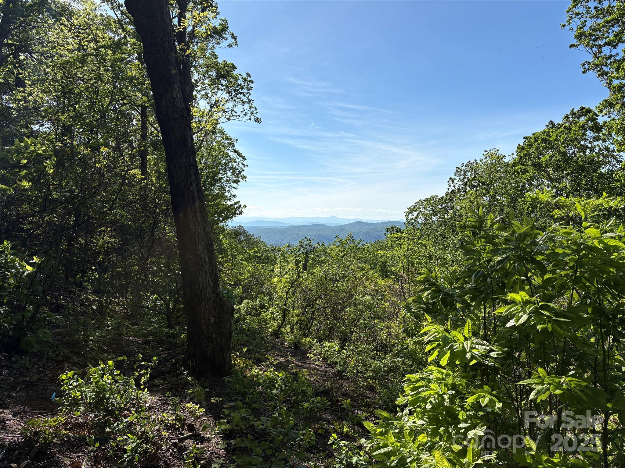 Lot 6 Miller Mountain Road 6 Property Photo 2