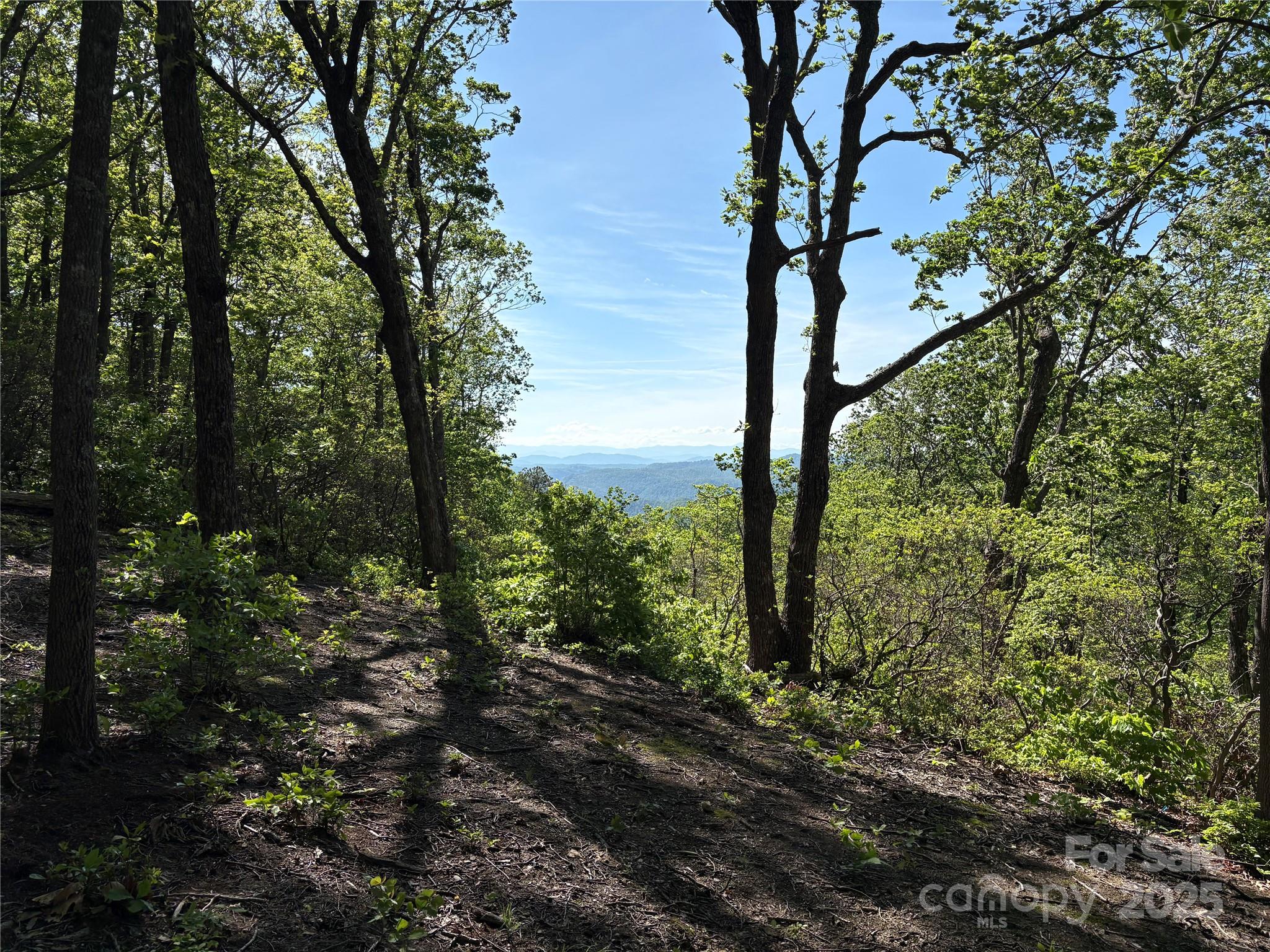Lot 6 Miller Mountain Road 6 Property Photo 3