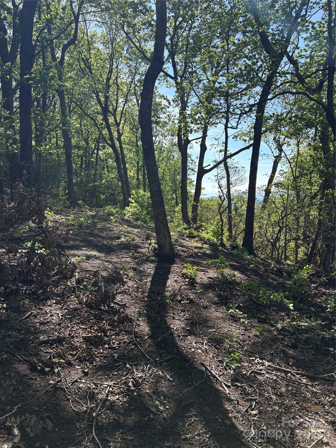 Lot 6 Miller Mountain Road 6 Property Photo 4