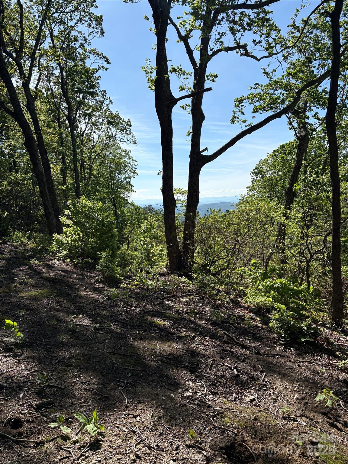 Lot 6 Miller Mountain Road 6 Property Photo 5