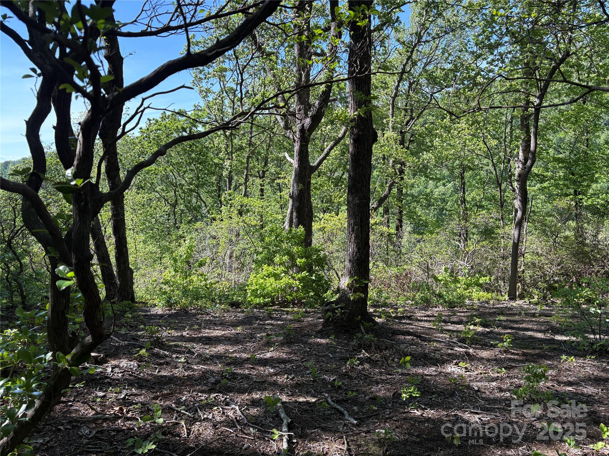 Lot 6 Miller Mountain Road 6 Property Photo 7