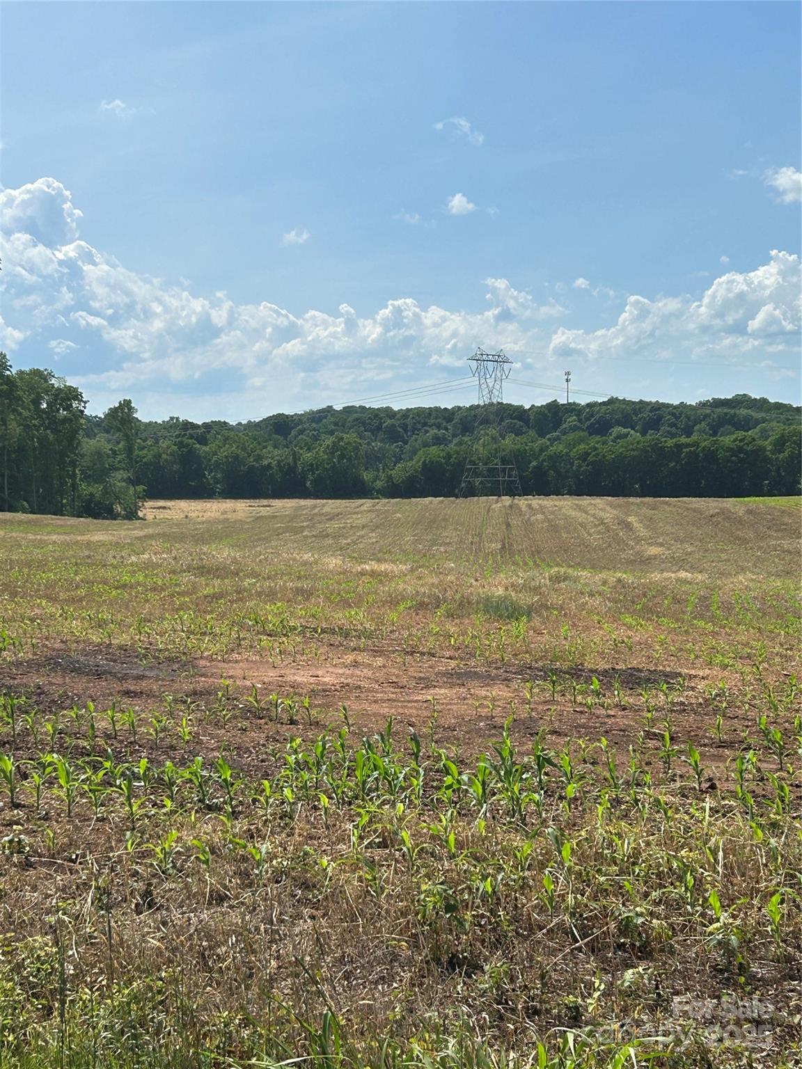 000 Long Branch Road Property Photo 3