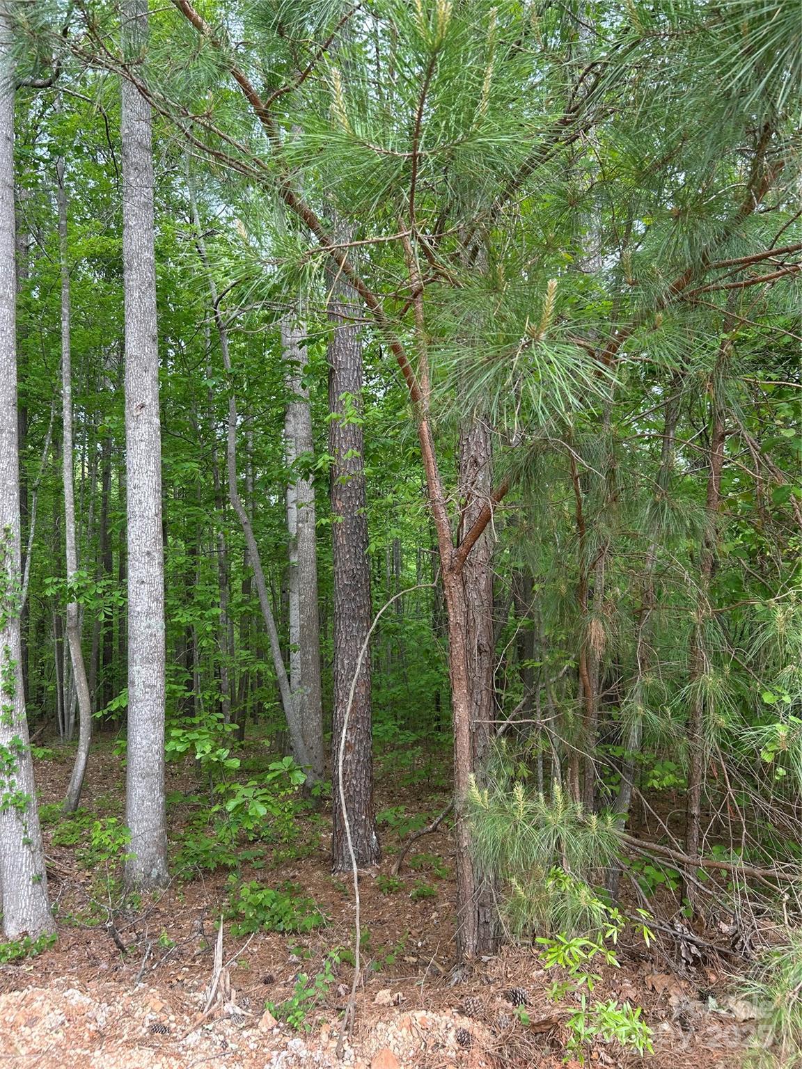 7300 Bay Cove Court Property Photo