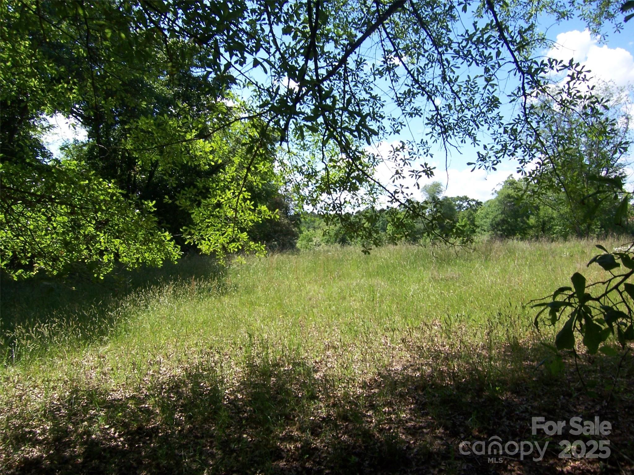 0 Willis Drive Property Photo 1