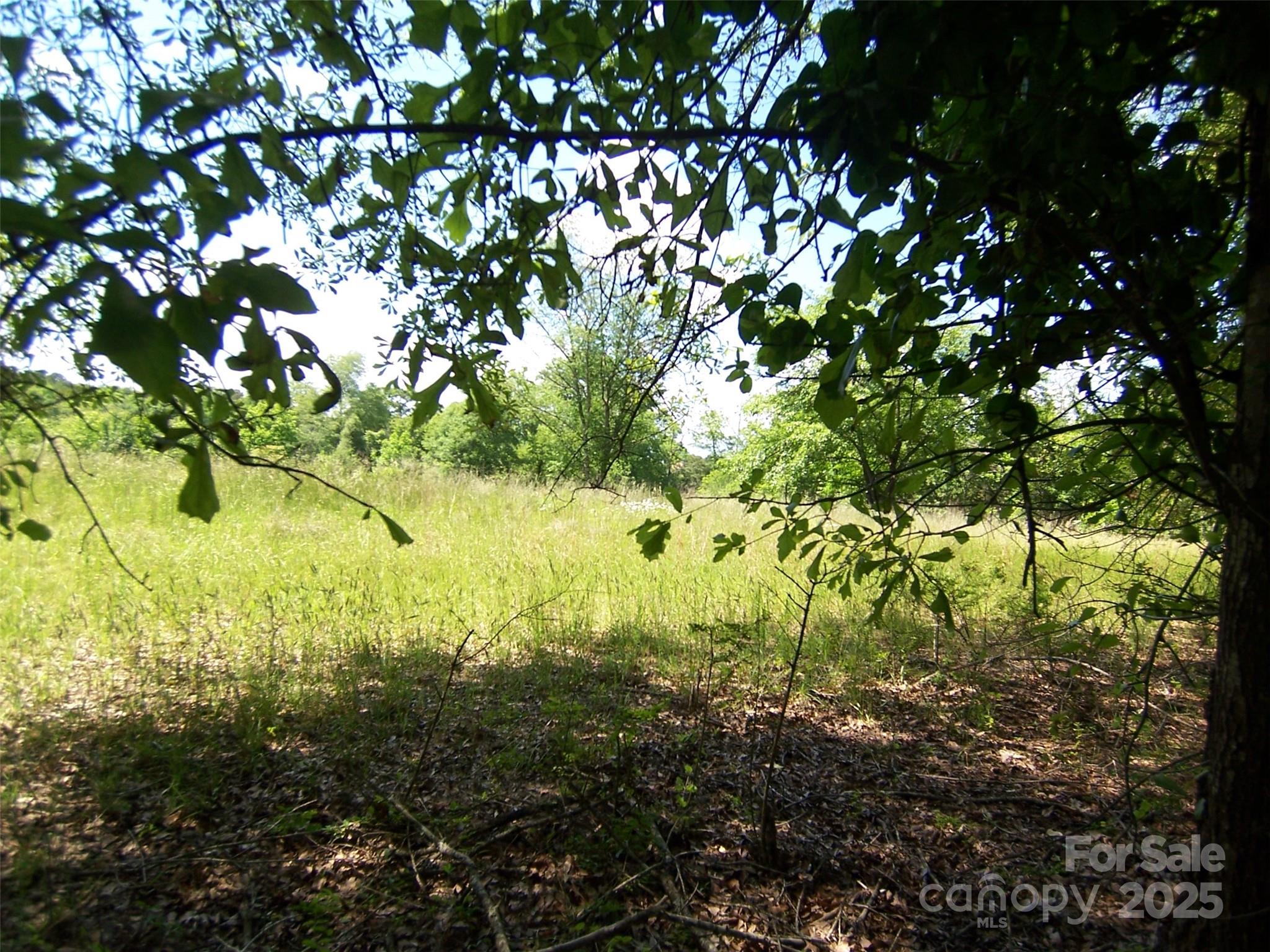 0 Willis Drive Property Photo 2