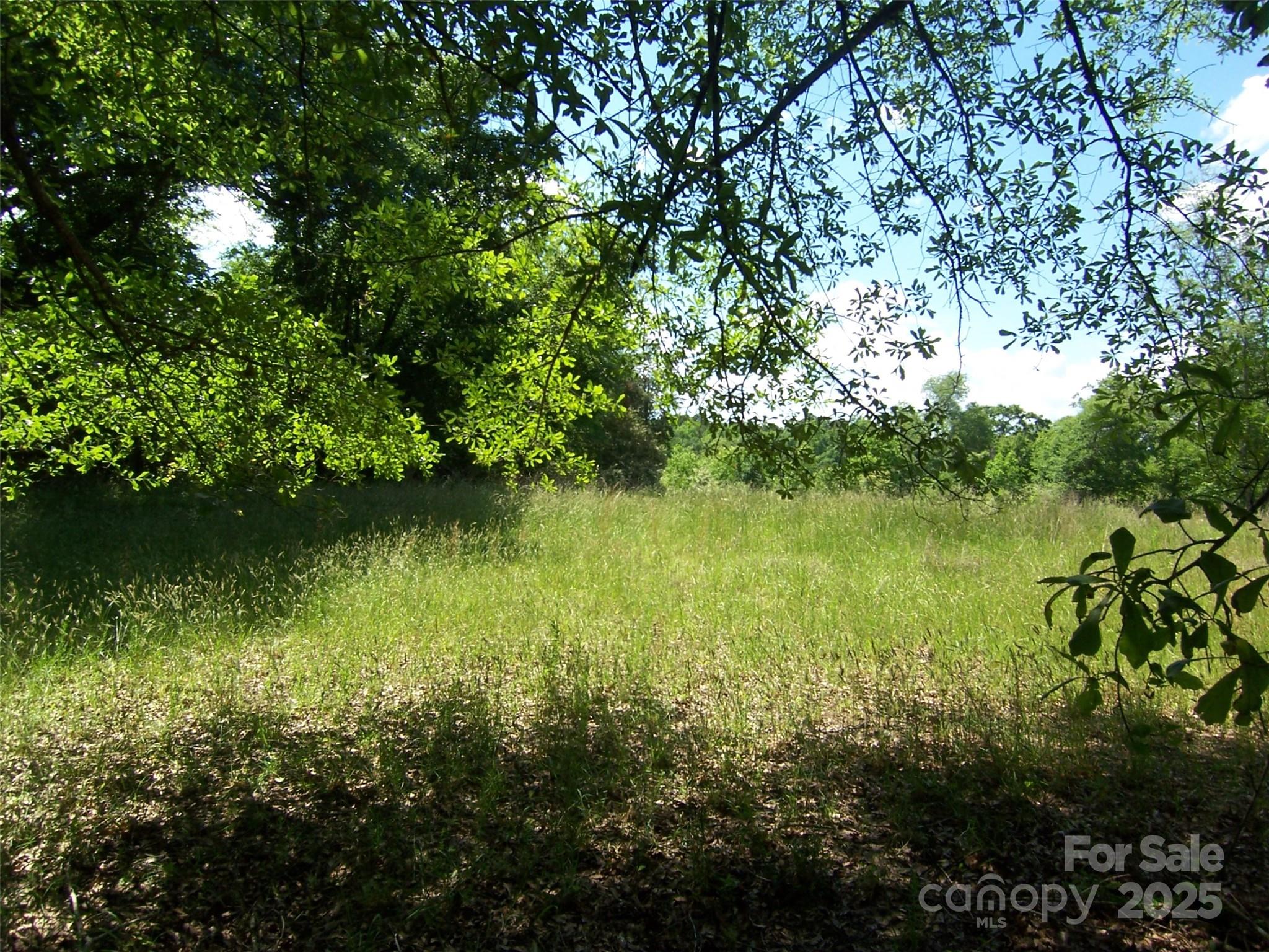 0 Willis Drive Property Photo 3