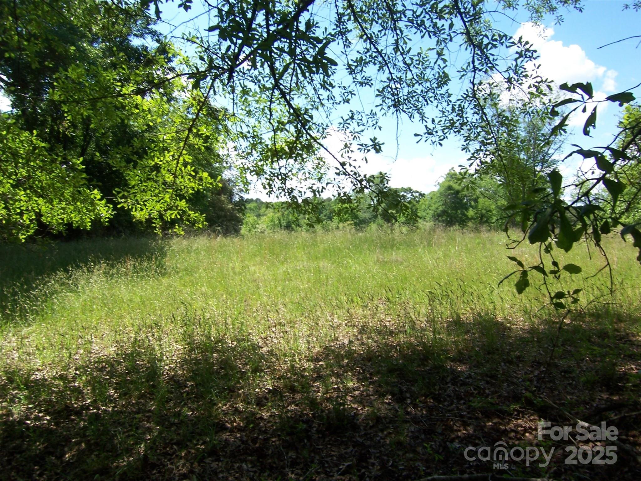 0 Willis Drive Property Photo 4