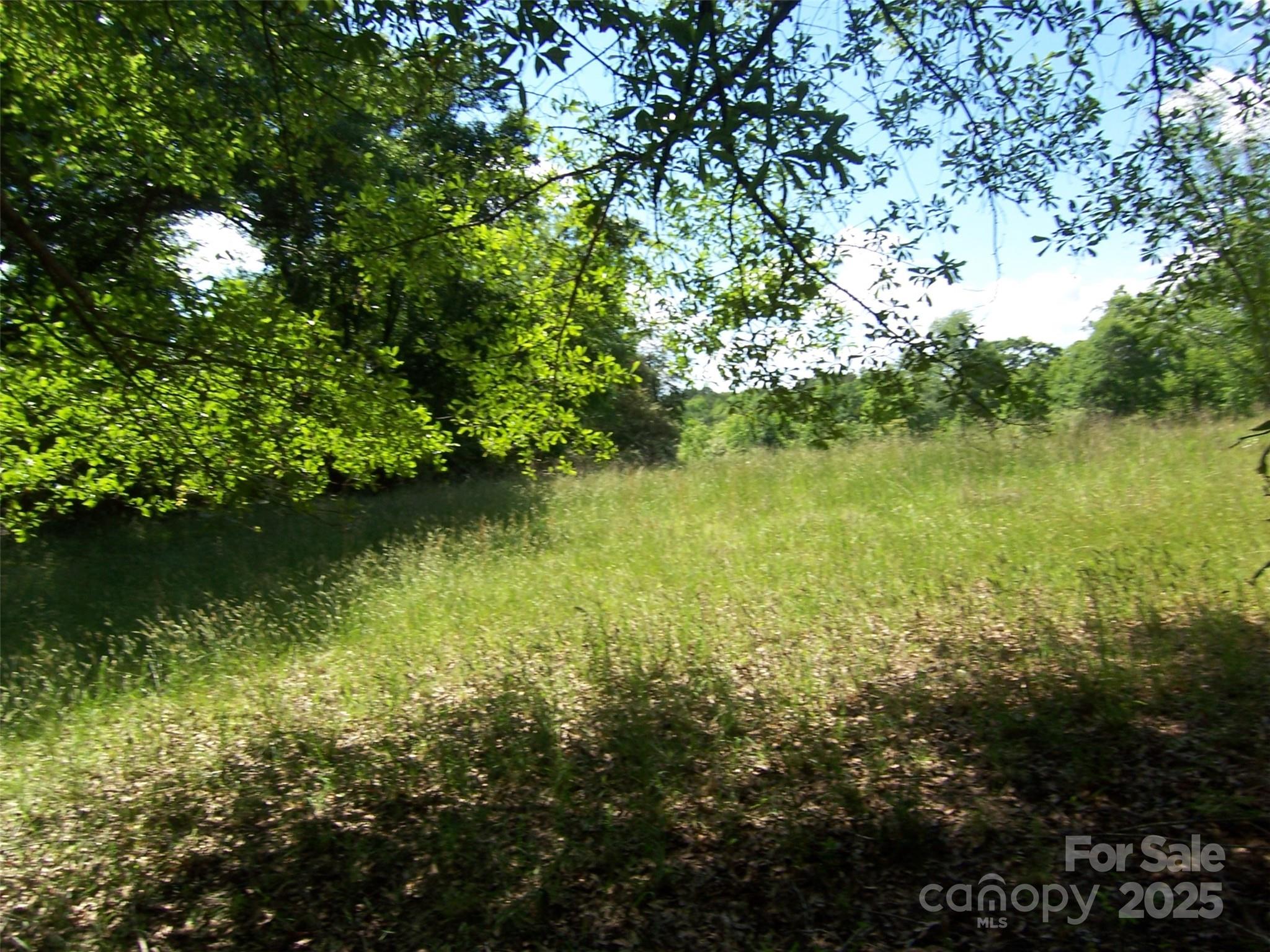 0 Willis Drive Property Photo 5