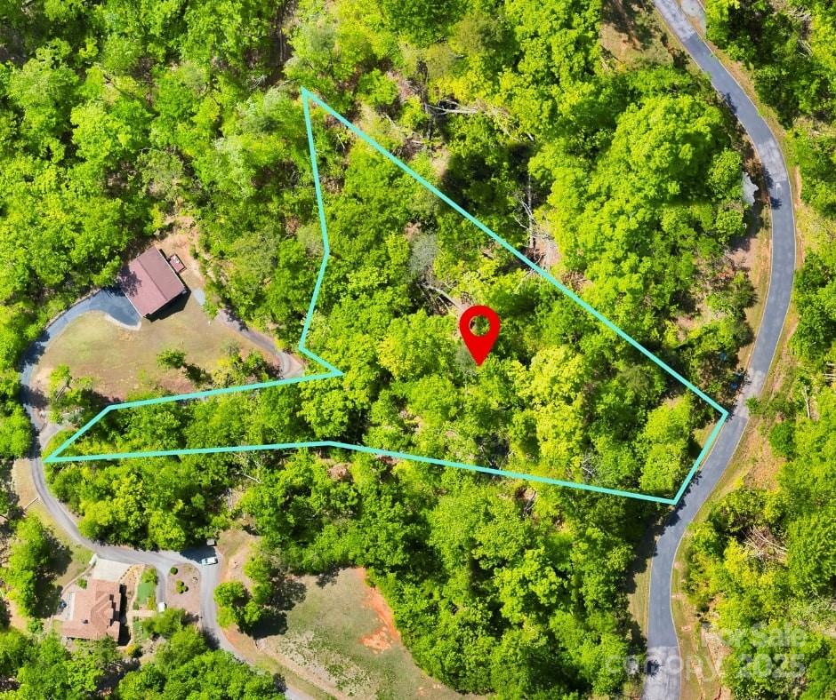 0 Bills Mountain Trail Property Photo 1