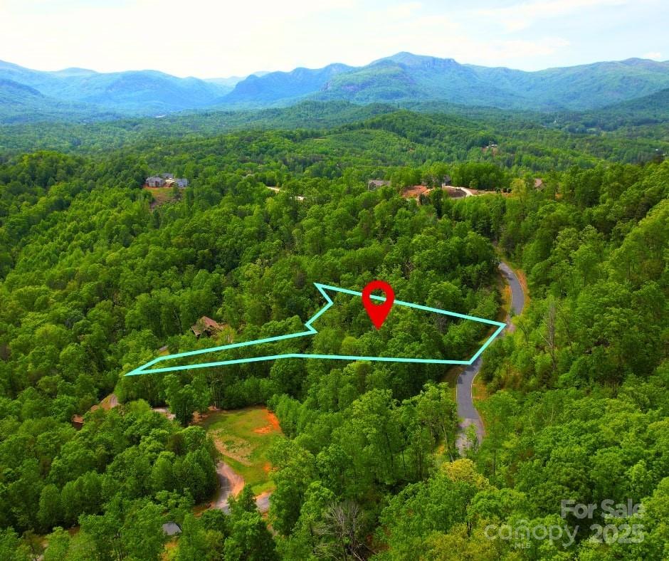 0 Bills Mountain Trail Property Photo 3