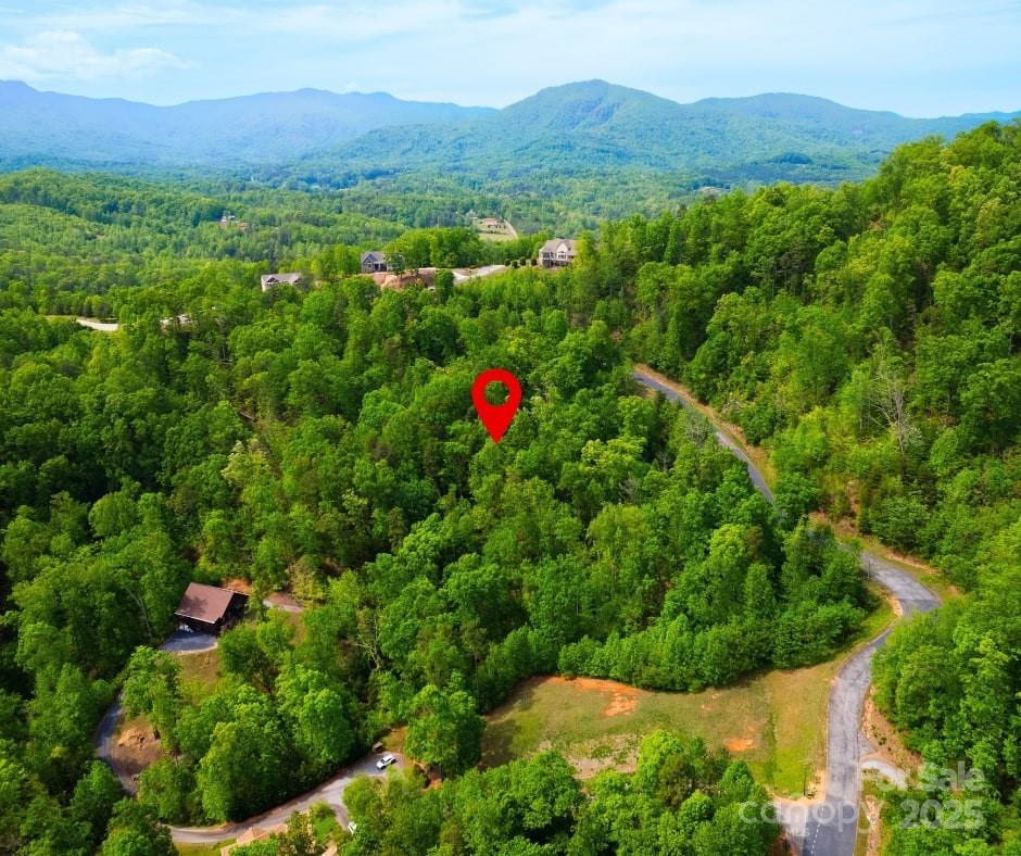 0 Bills Mountain Trail Property Photo 4