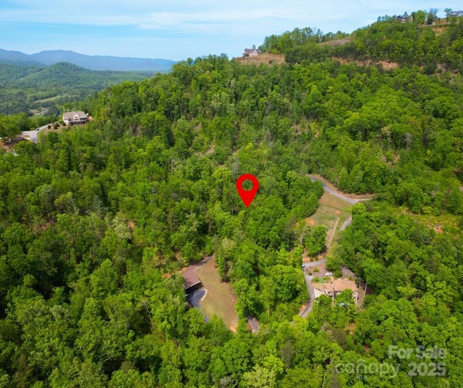 0 Bills Mountain Trail Property Photo 5