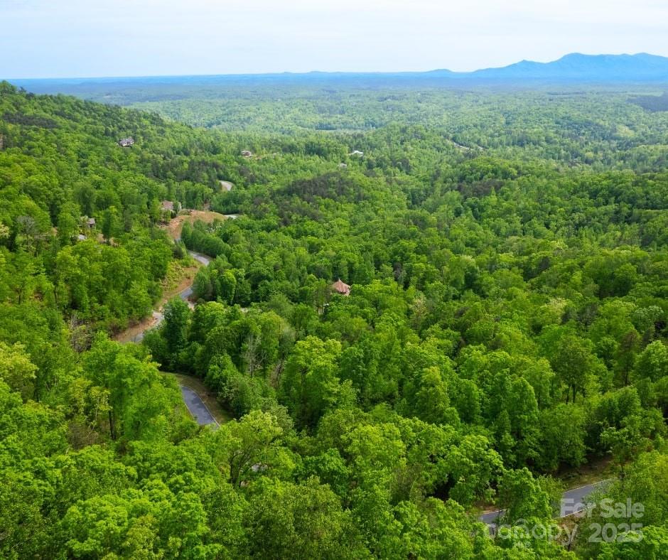 0 Bills Mountain Trail Property Photo 6