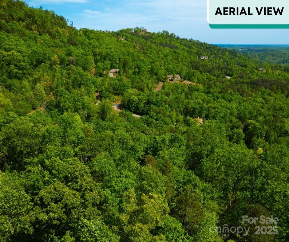 0 Bills Mountain Trail Property Photo 13