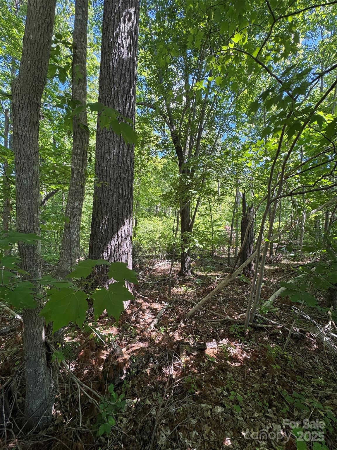 0 Creekwood Drive Property Photo