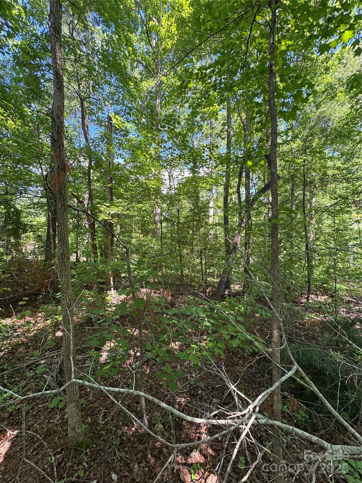 0 Creekwood Drive Property Photo 2
