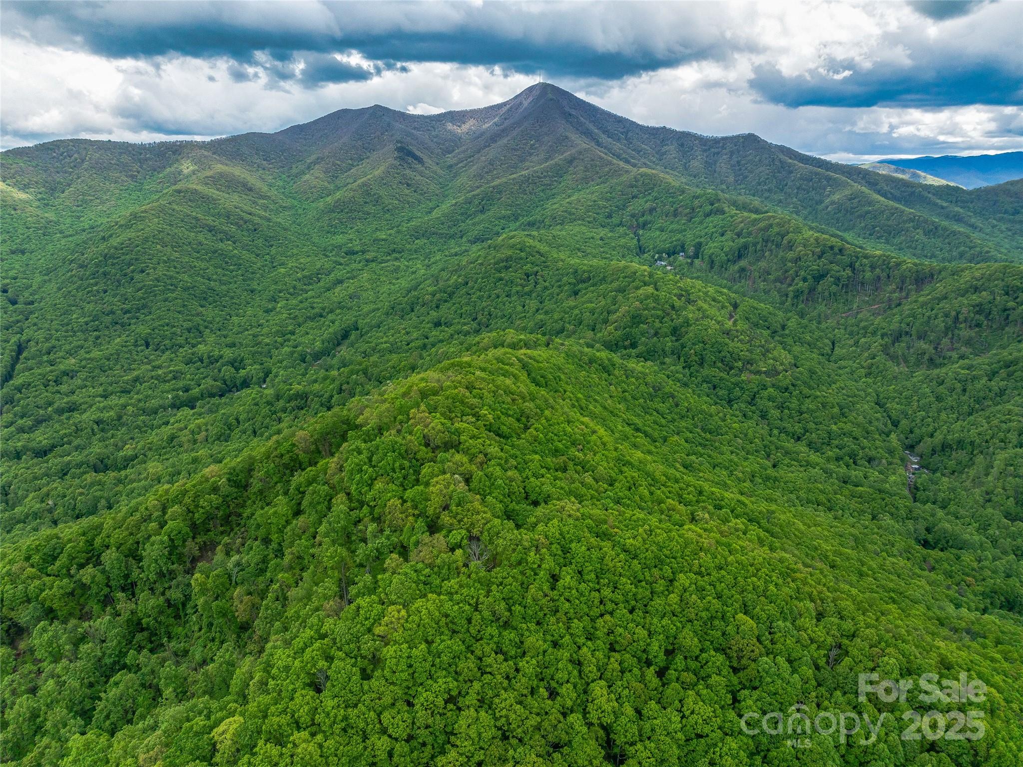 59 Pisgah Mountain Trail Property Photo 1