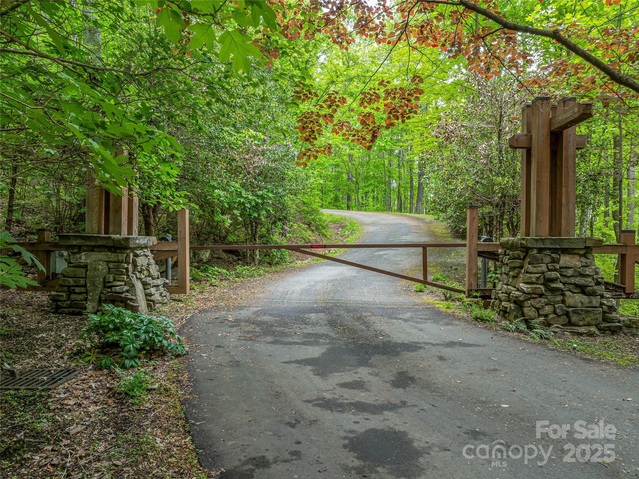 59 Pisgah Mountain Trail Property Photo 2